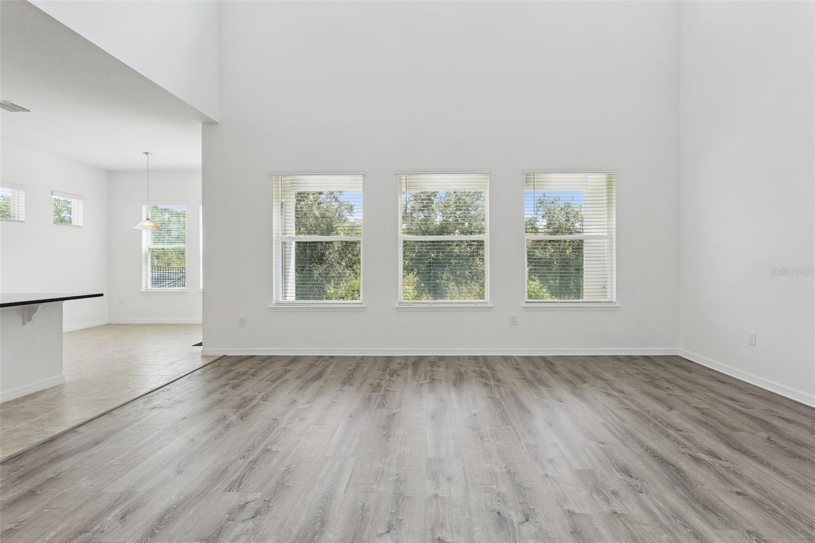 10037 AUSTRINA OAK LOOP