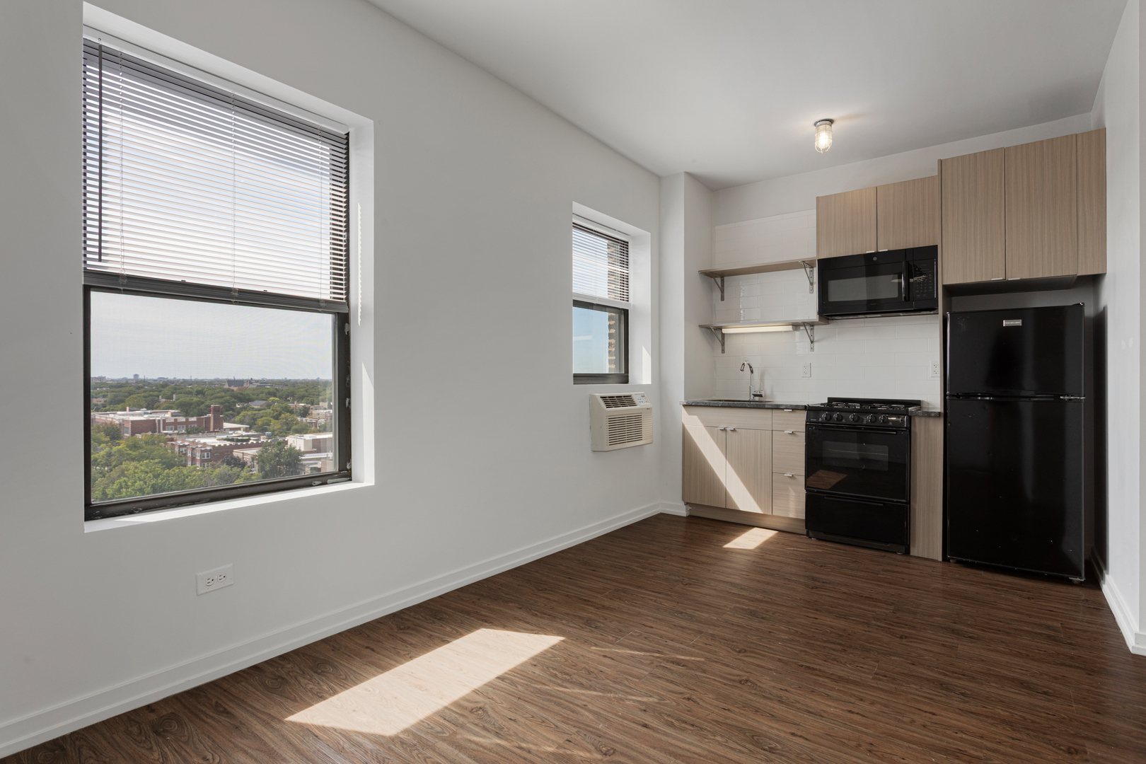 1325 W Wilson Avenue Unit: 1103