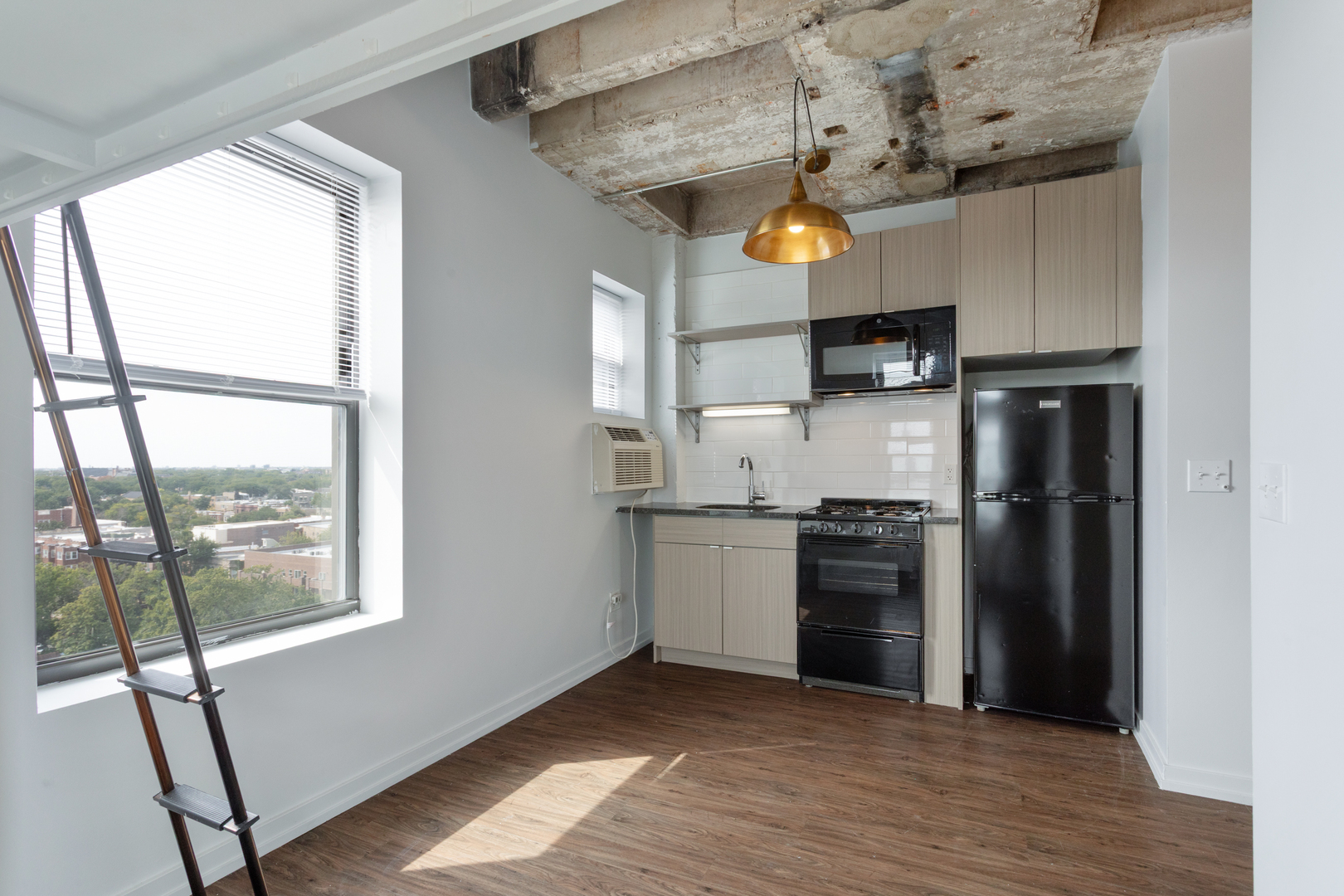 1325 W Wilson Avenue Unit: 1101