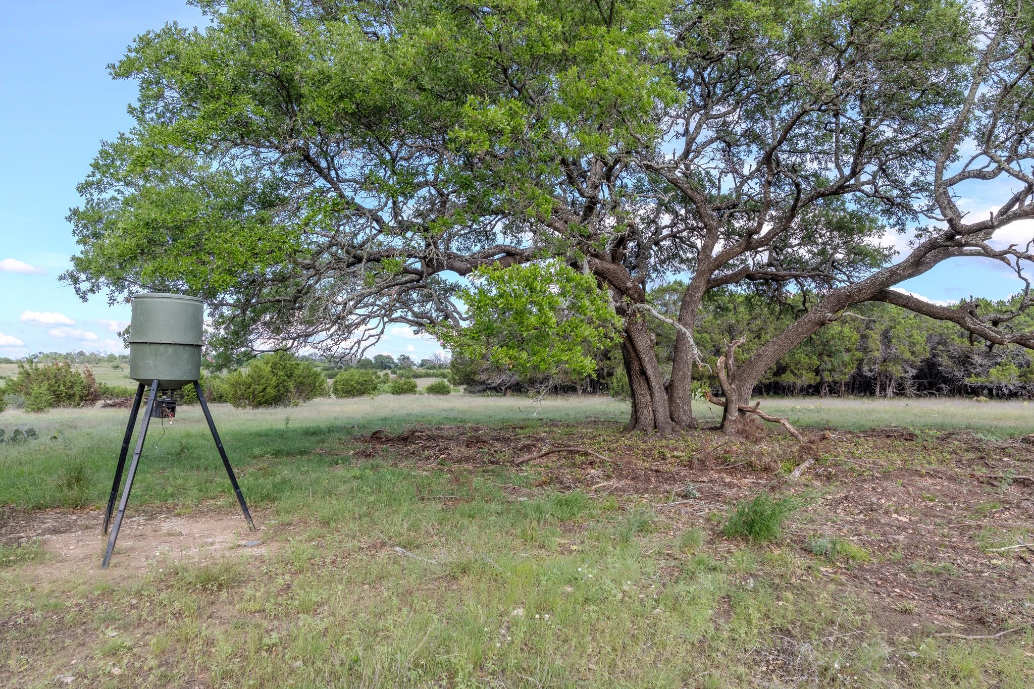 Lot 3 Bluestem LN