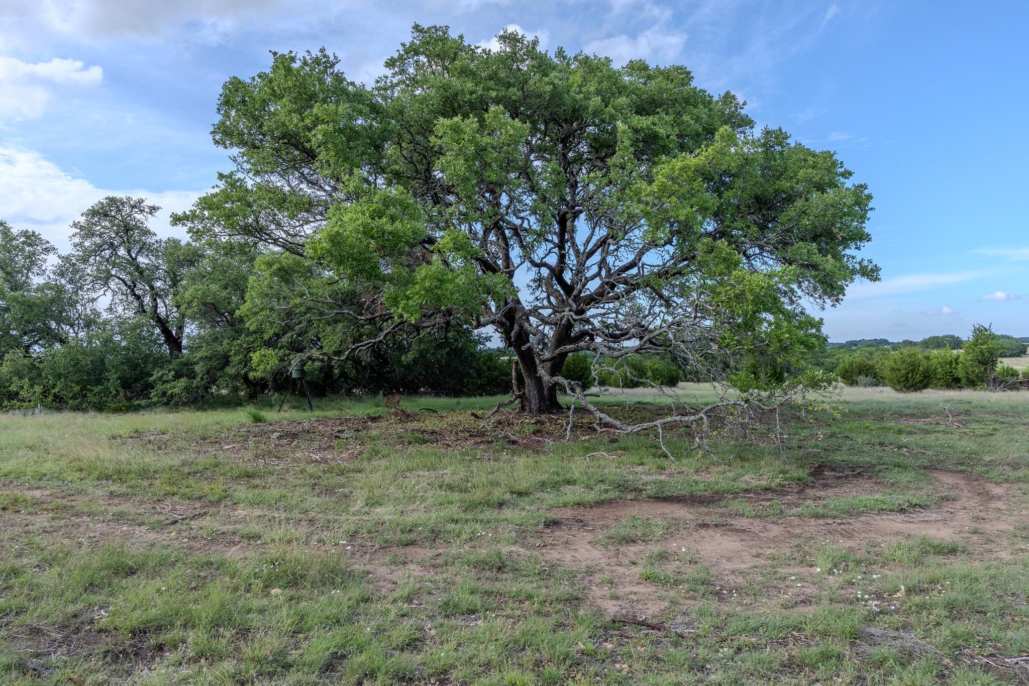 Lot 3 Bluestem LN