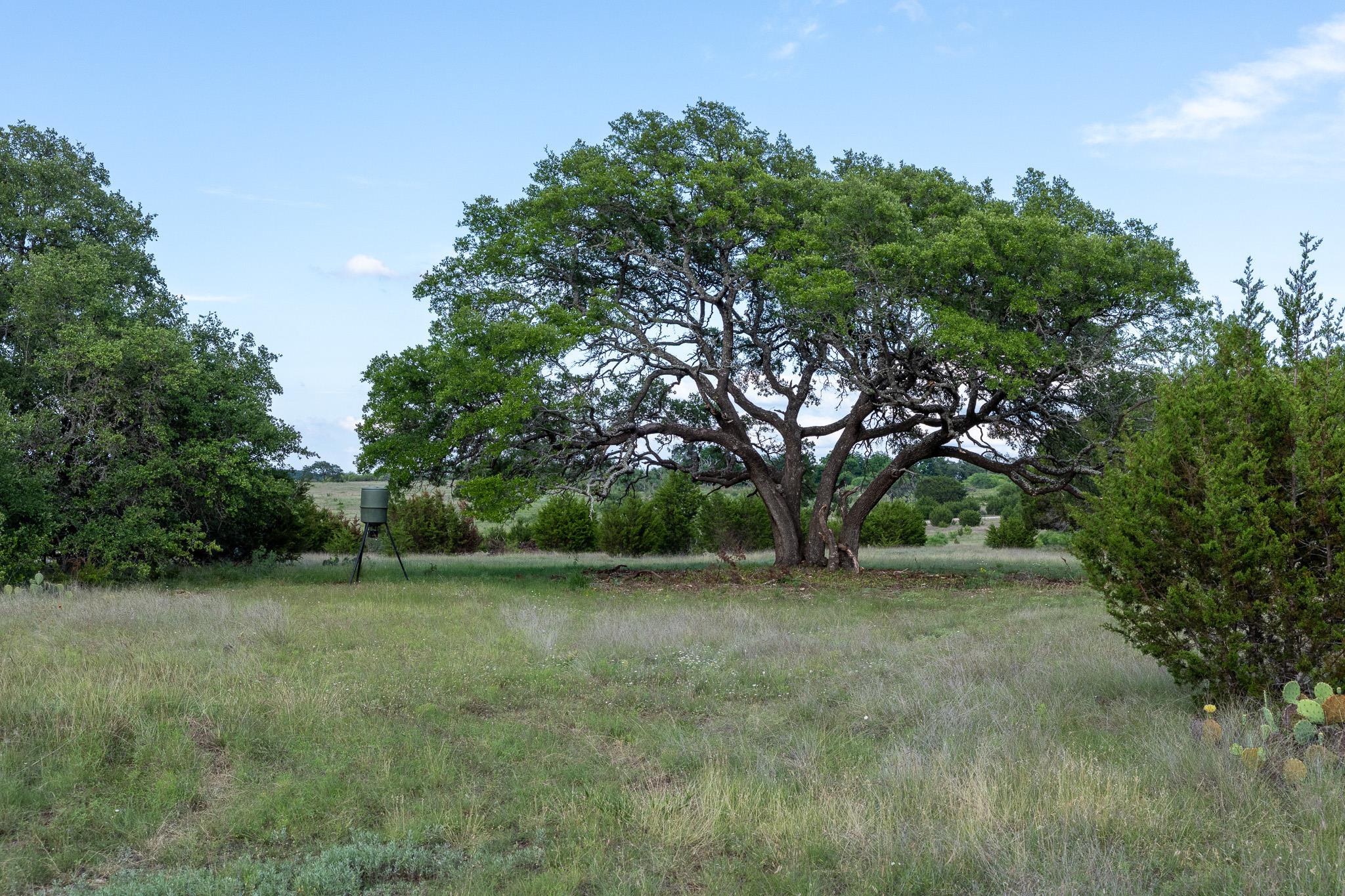 Lot 3 Bluestem LN
