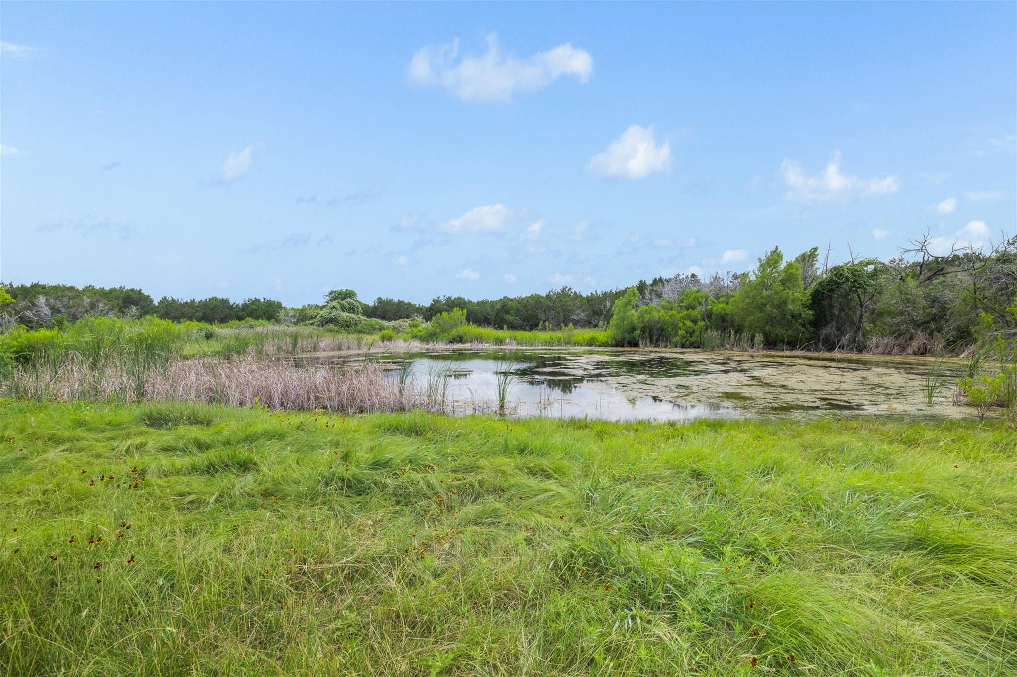 2555 County Road 1139