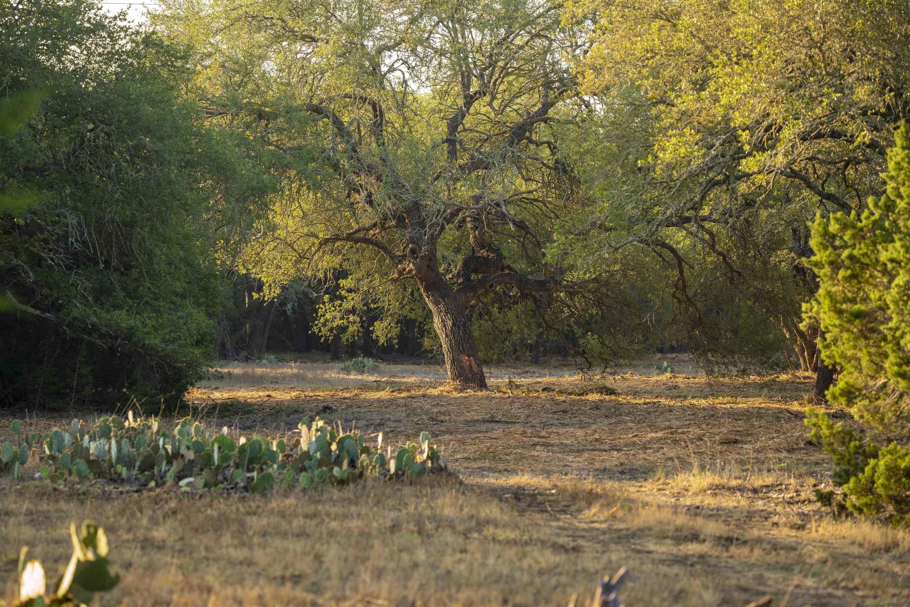 13.627 acres Lennon Lane