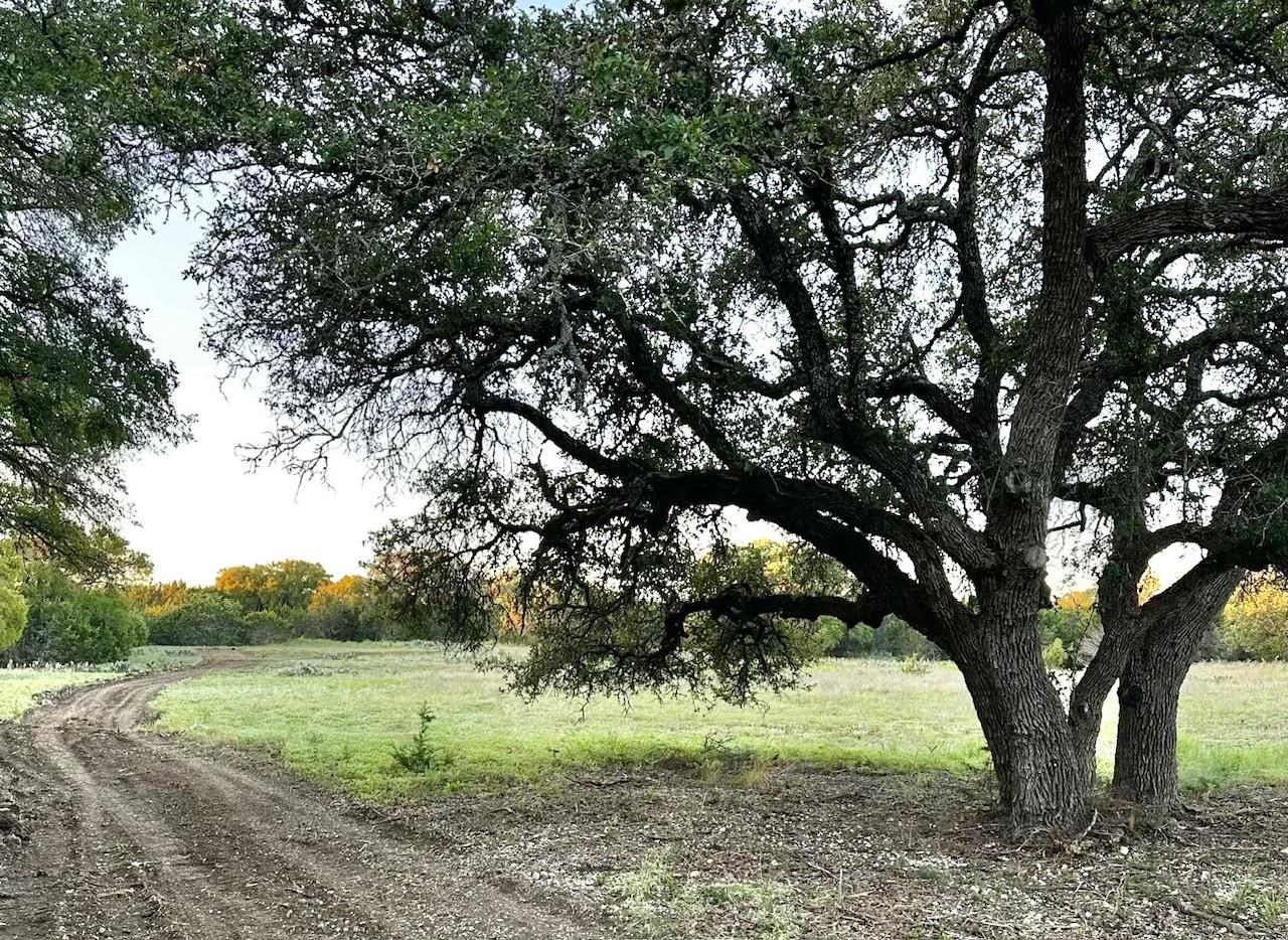 13.627 acres Lennon Lane