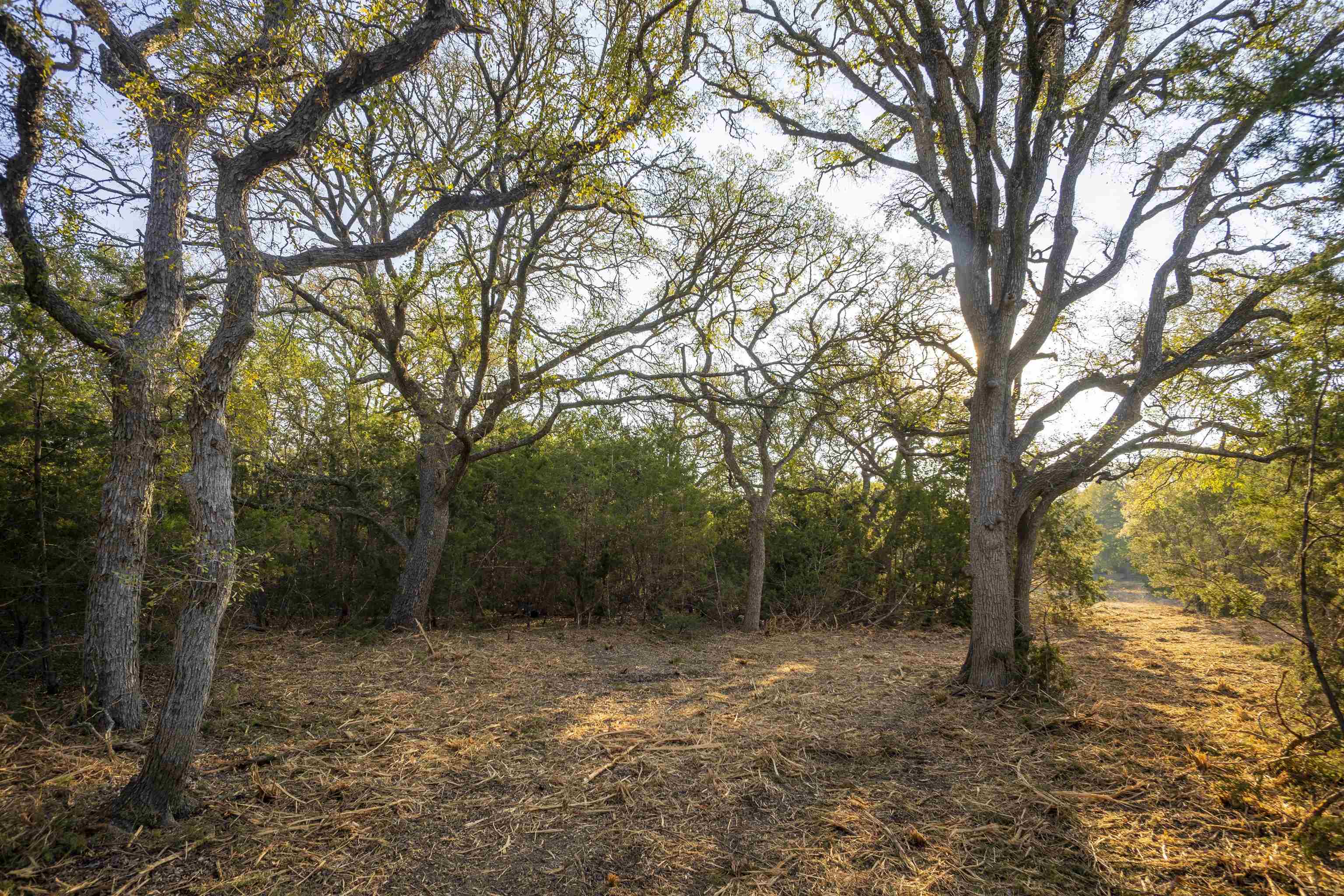 13.627 acres Lennon Lane