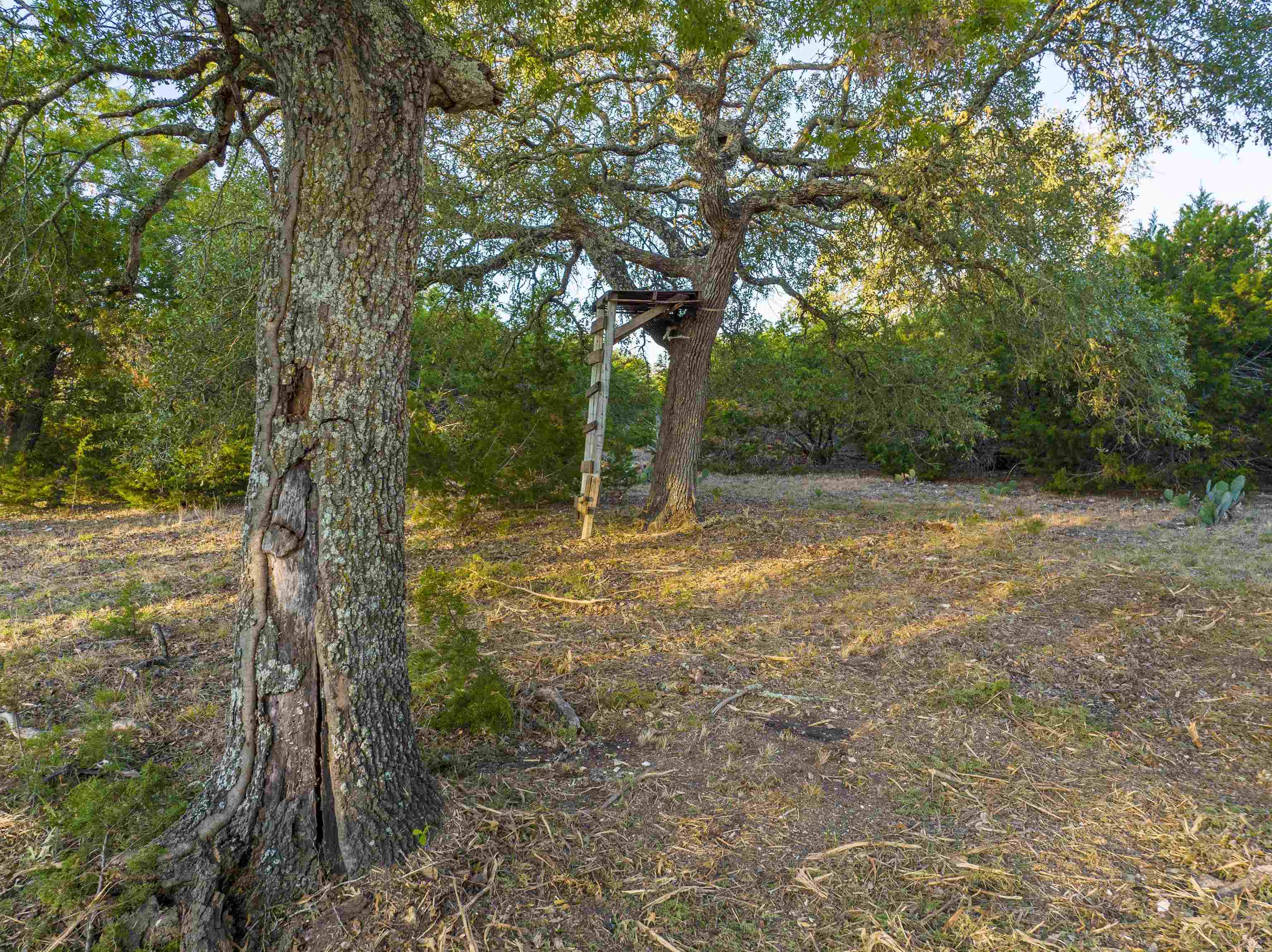 13.627 acres Lennon Lane