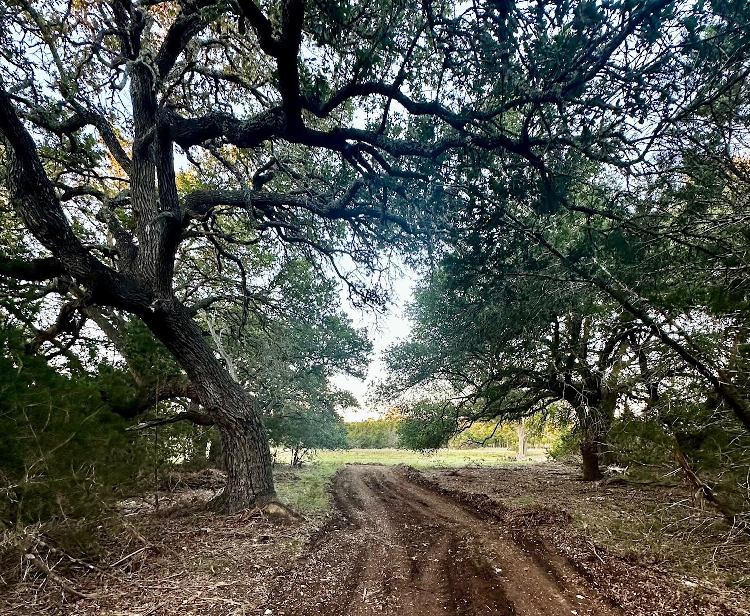13.627 acres Lennon Lane