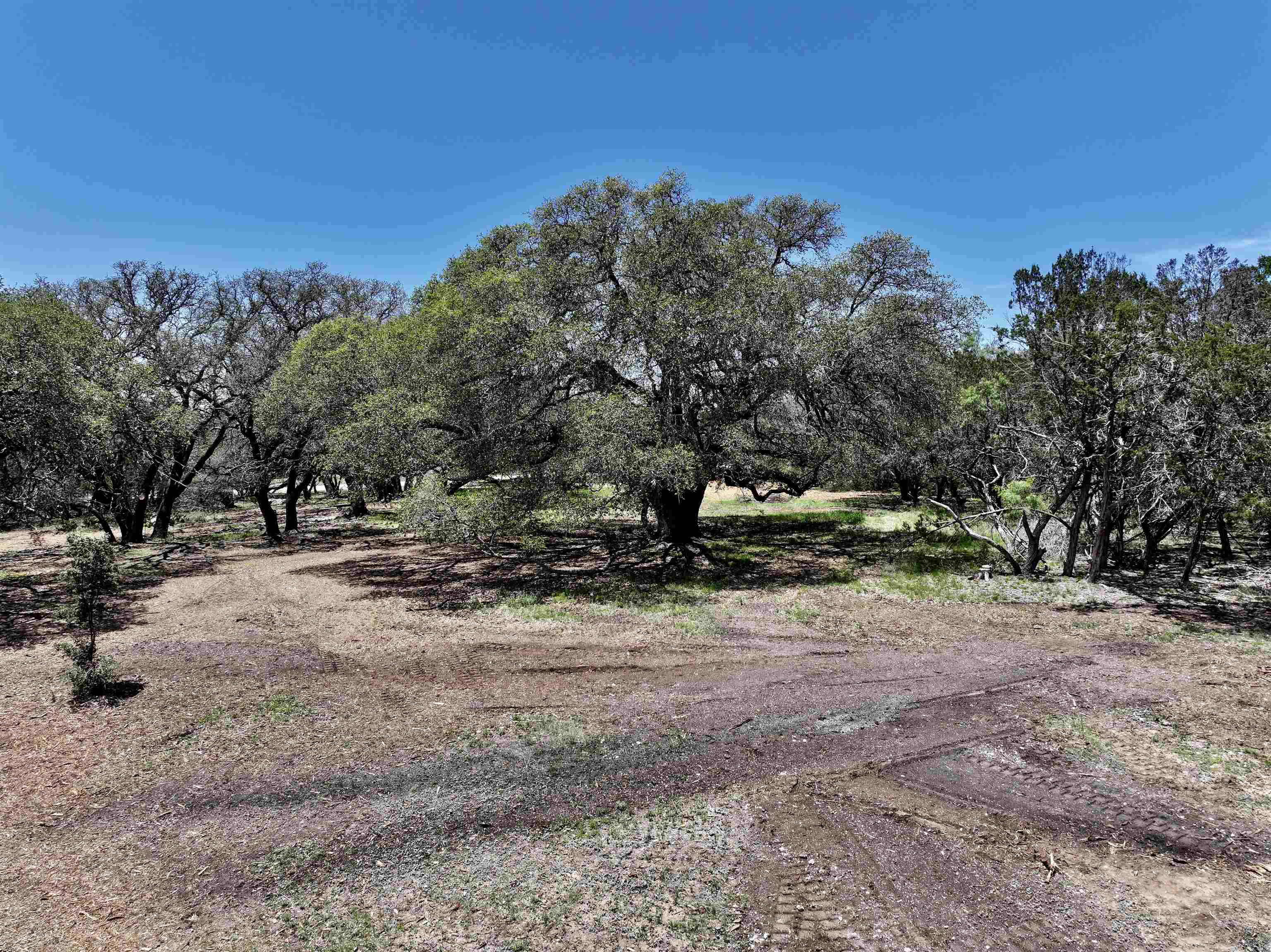 285 Donnie Drive