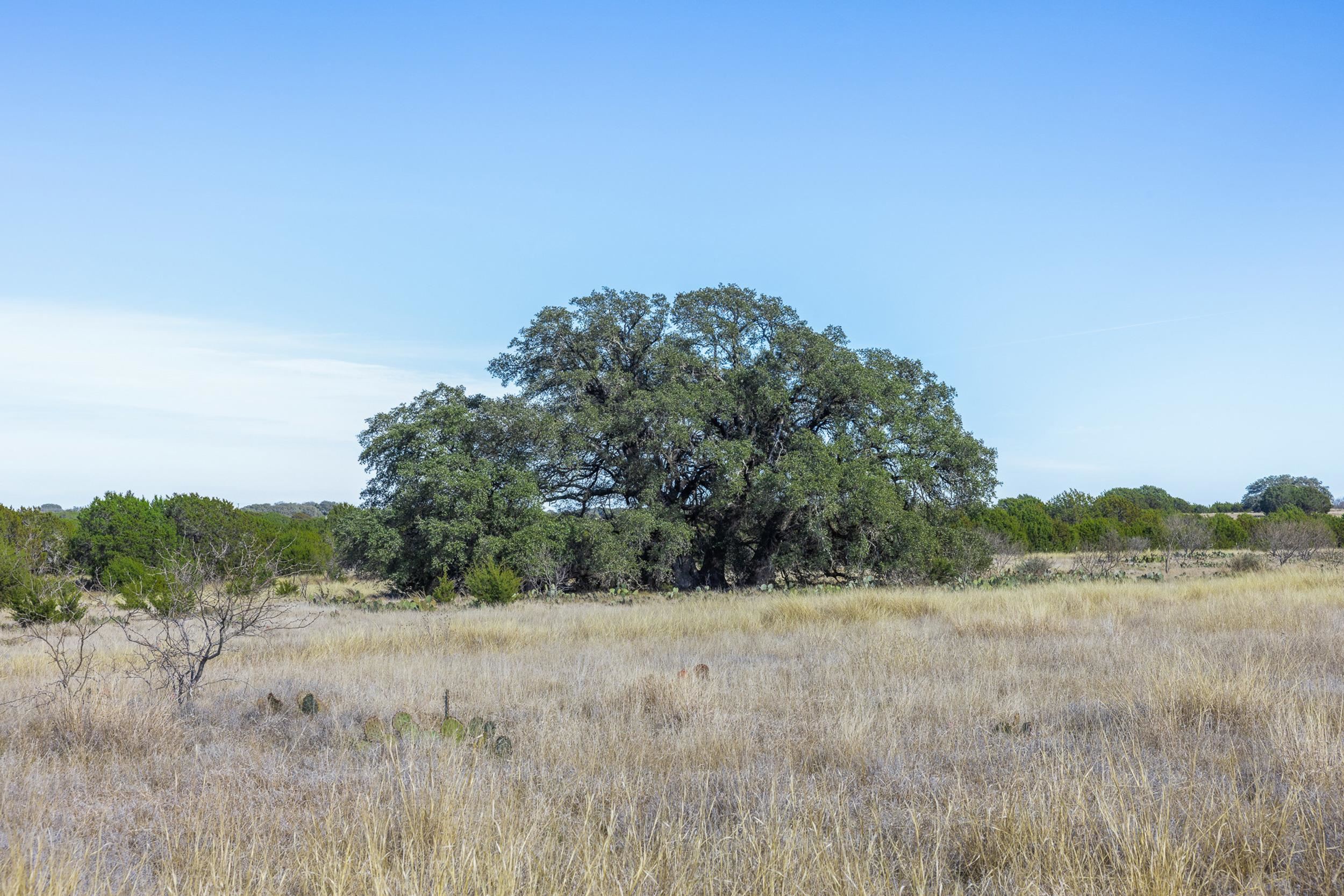 Lot 2 Bluestem Lane