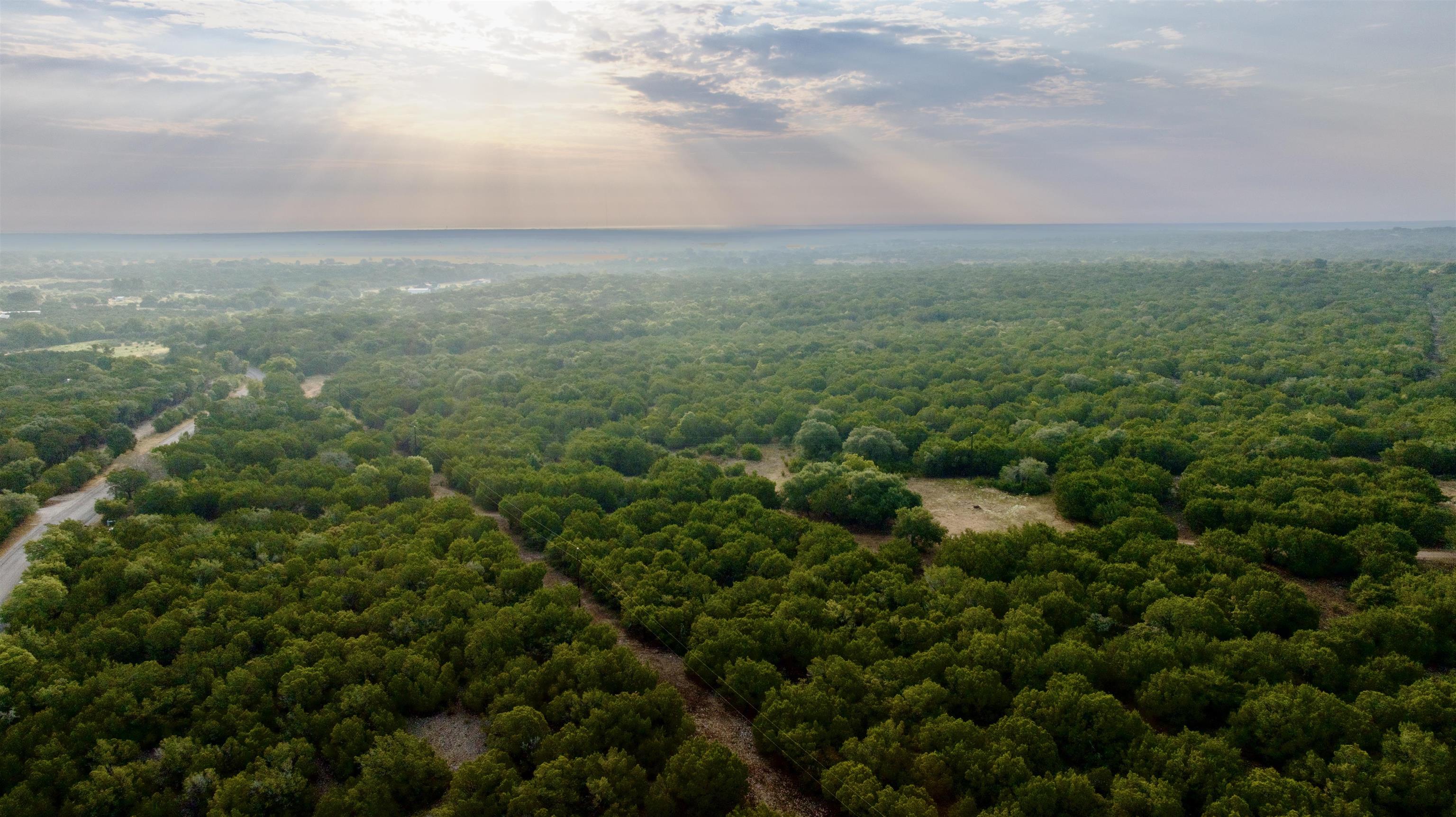 Aerial view of a wooded vacant tract with a dirt road and scattered clearings.