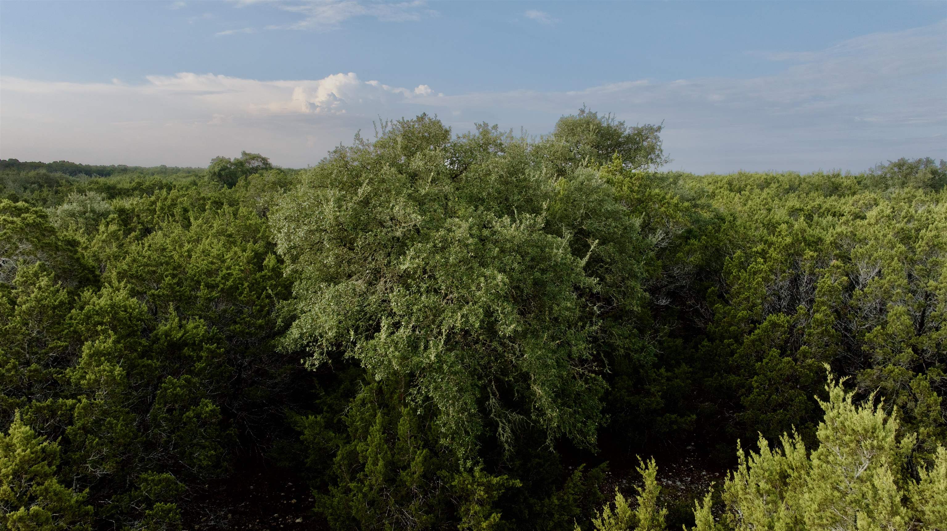 Aerial view of densely wooded rural land beneath a partly cloudy sky.