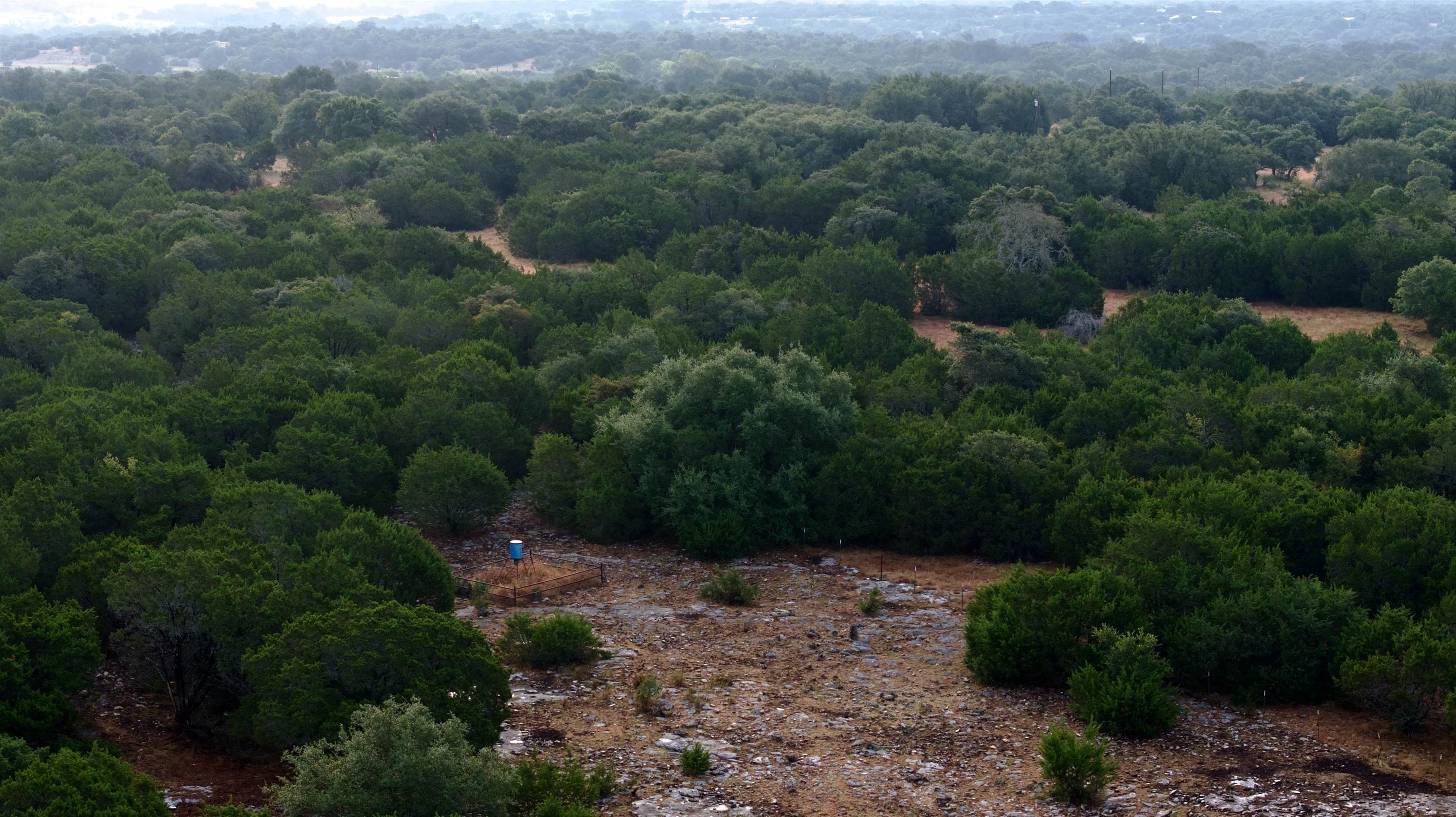 Aerial view of wooded land with a rocky clearing and a small blue water tank.