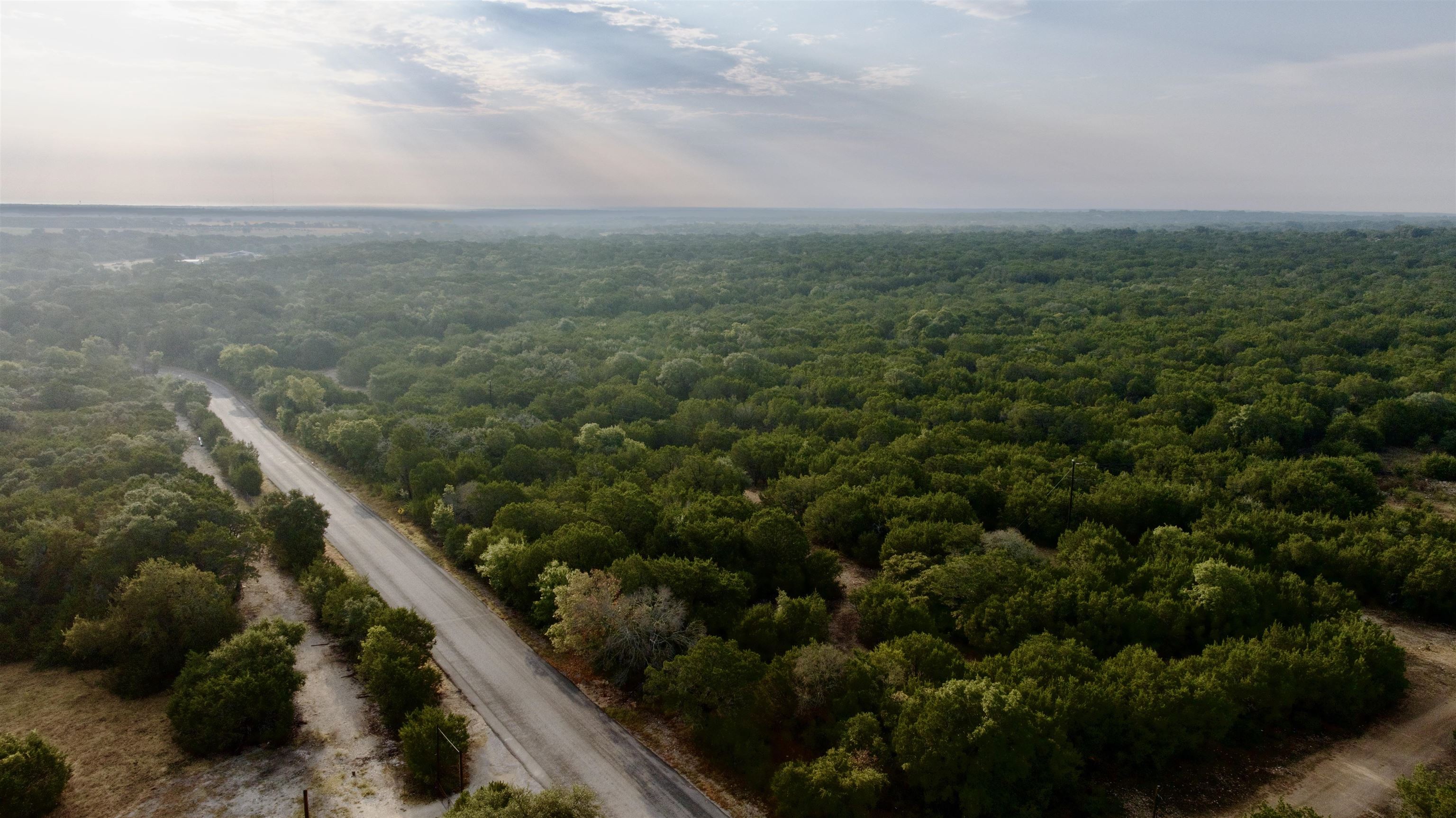 Aerial view of dense wooded land beside a paved rural road.