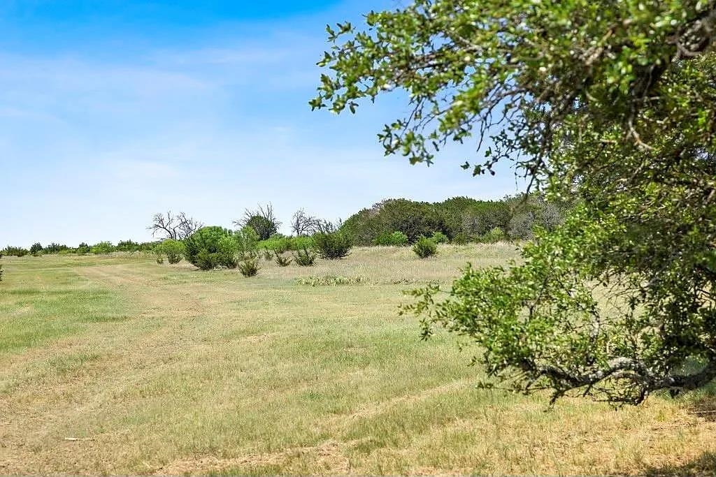Open grassy acreage with scattered shrubs, framed by a leafy tree beneath a blue sky.