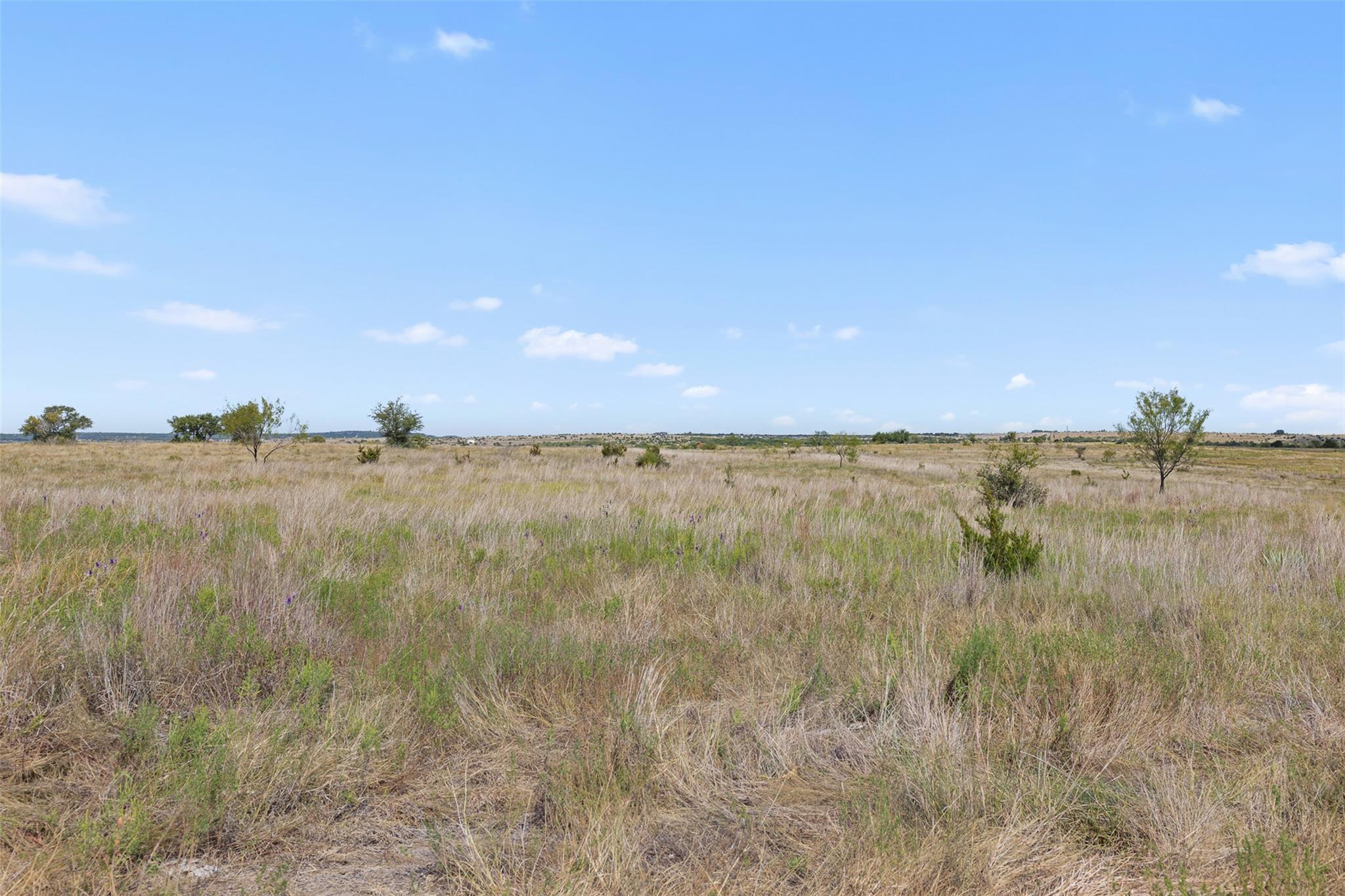 Open rural land with dry grass, scattered shrubs, and small trees beneath a broad blue sky.
