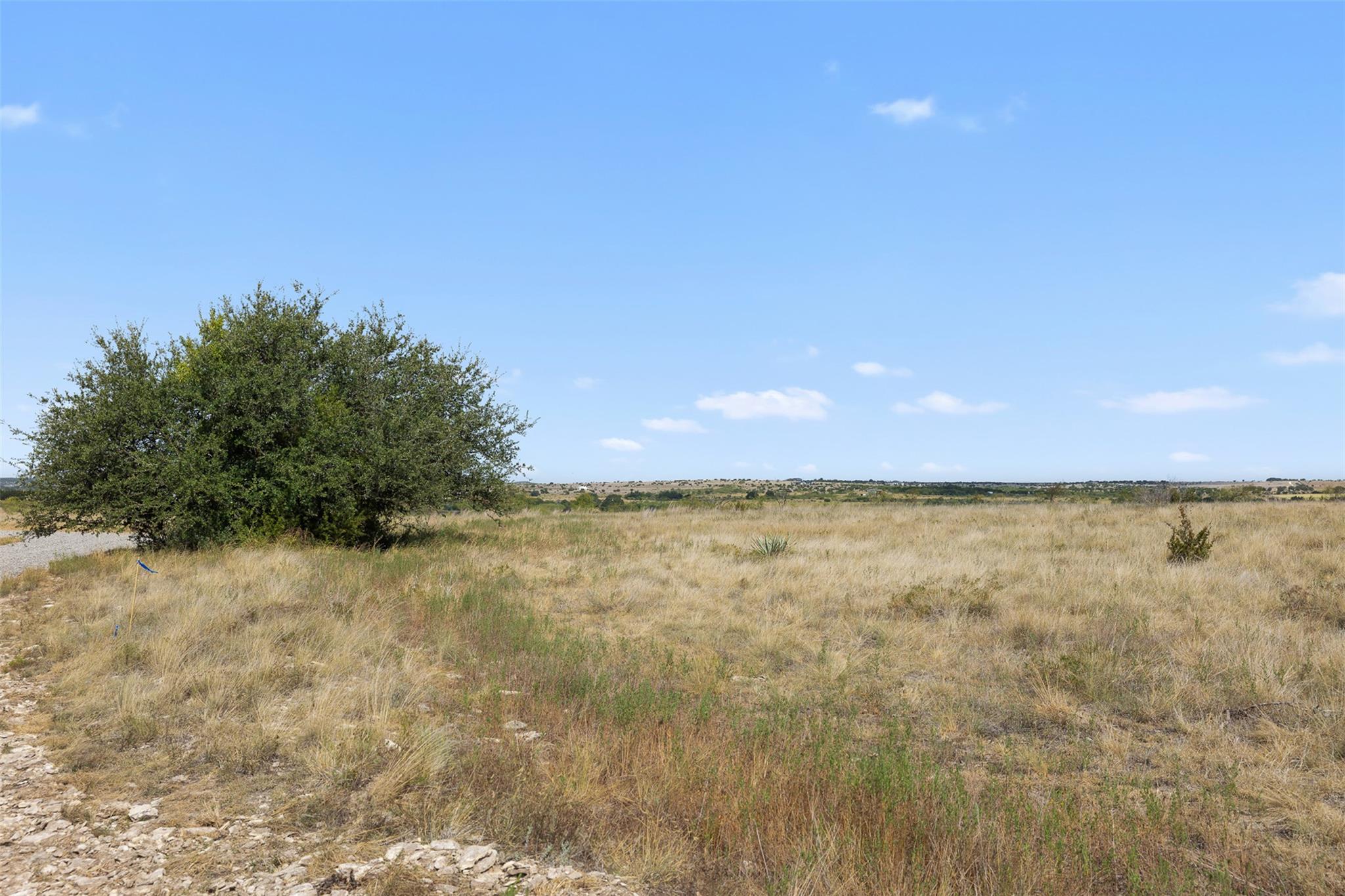 Vacant grassy lot with a large tree beside a gravel track and a blue boundary marker.