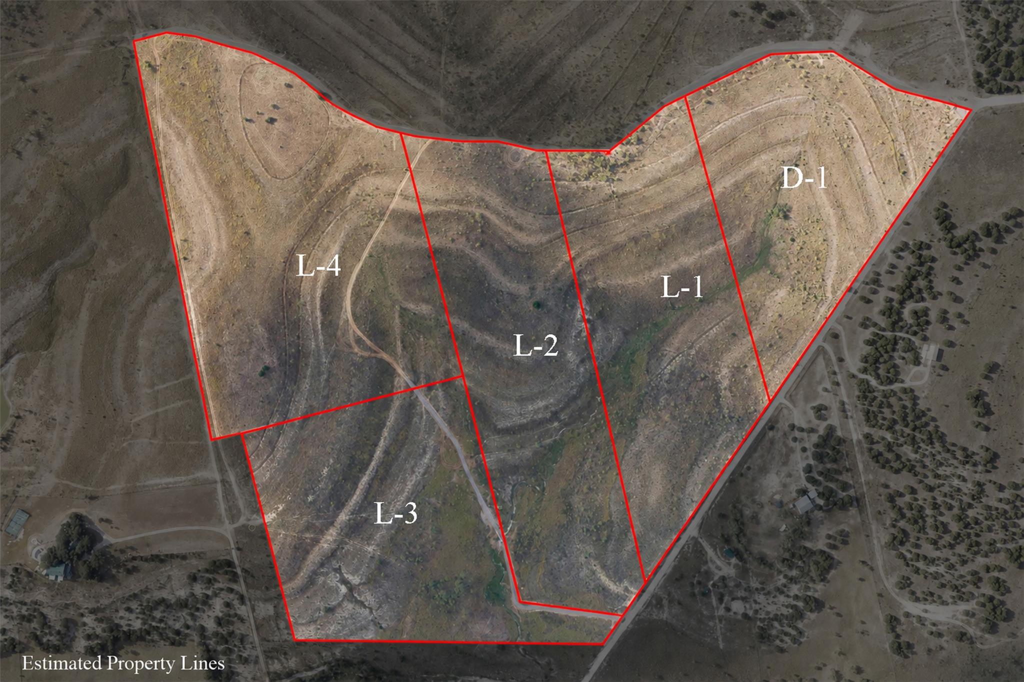Aerial view of rural parcels outlined in red, with lots L-1 through L-4 and D-1 labeled.