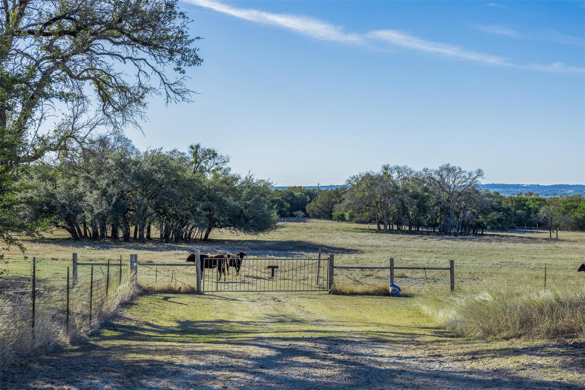 197 Live Oak Cemetery RD