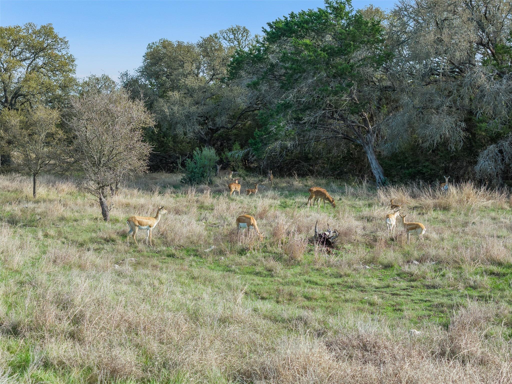 8901 County Road 108