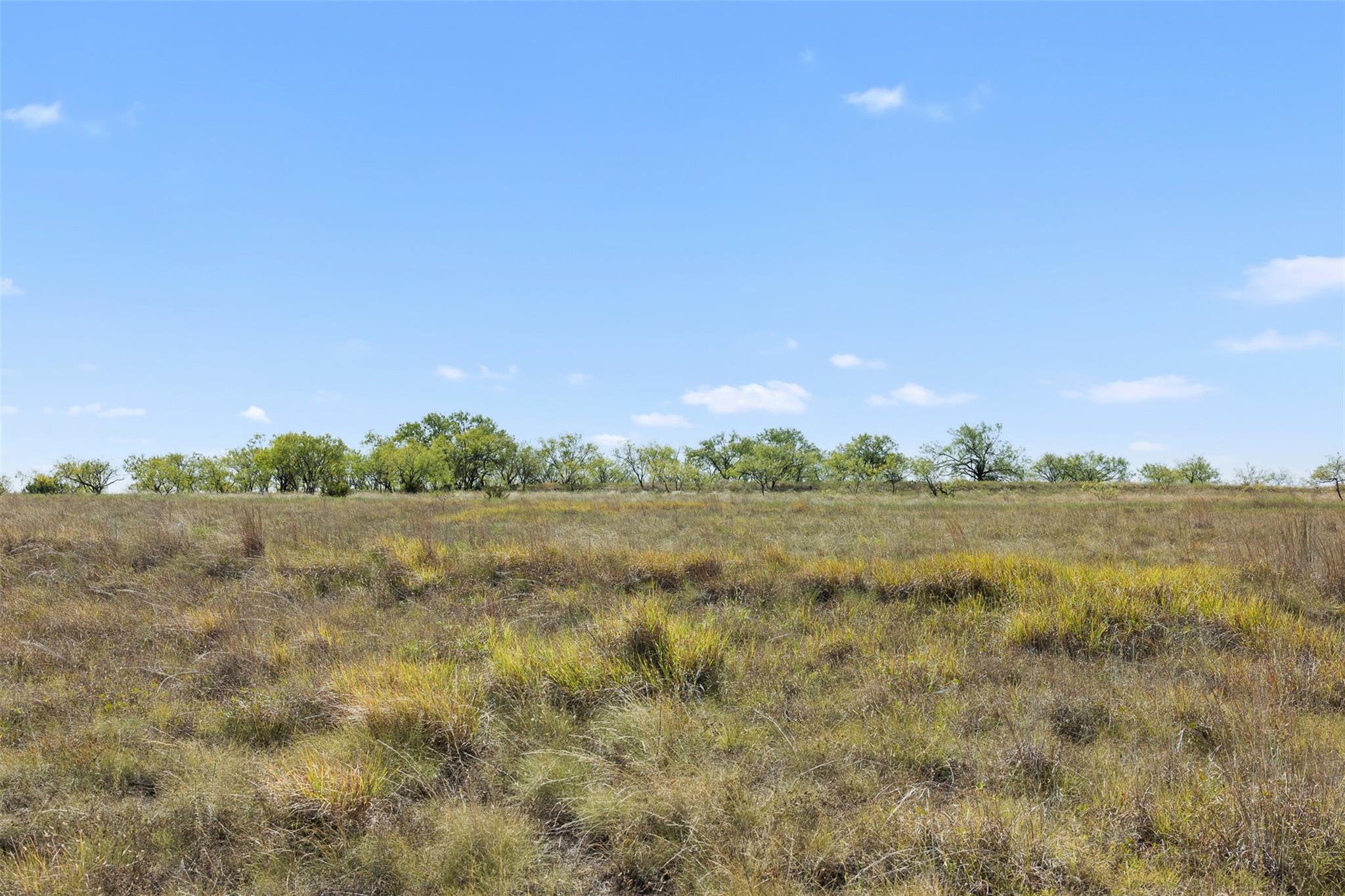 Open grassy lot with scattered trees along the horizon beneath a blue sky.