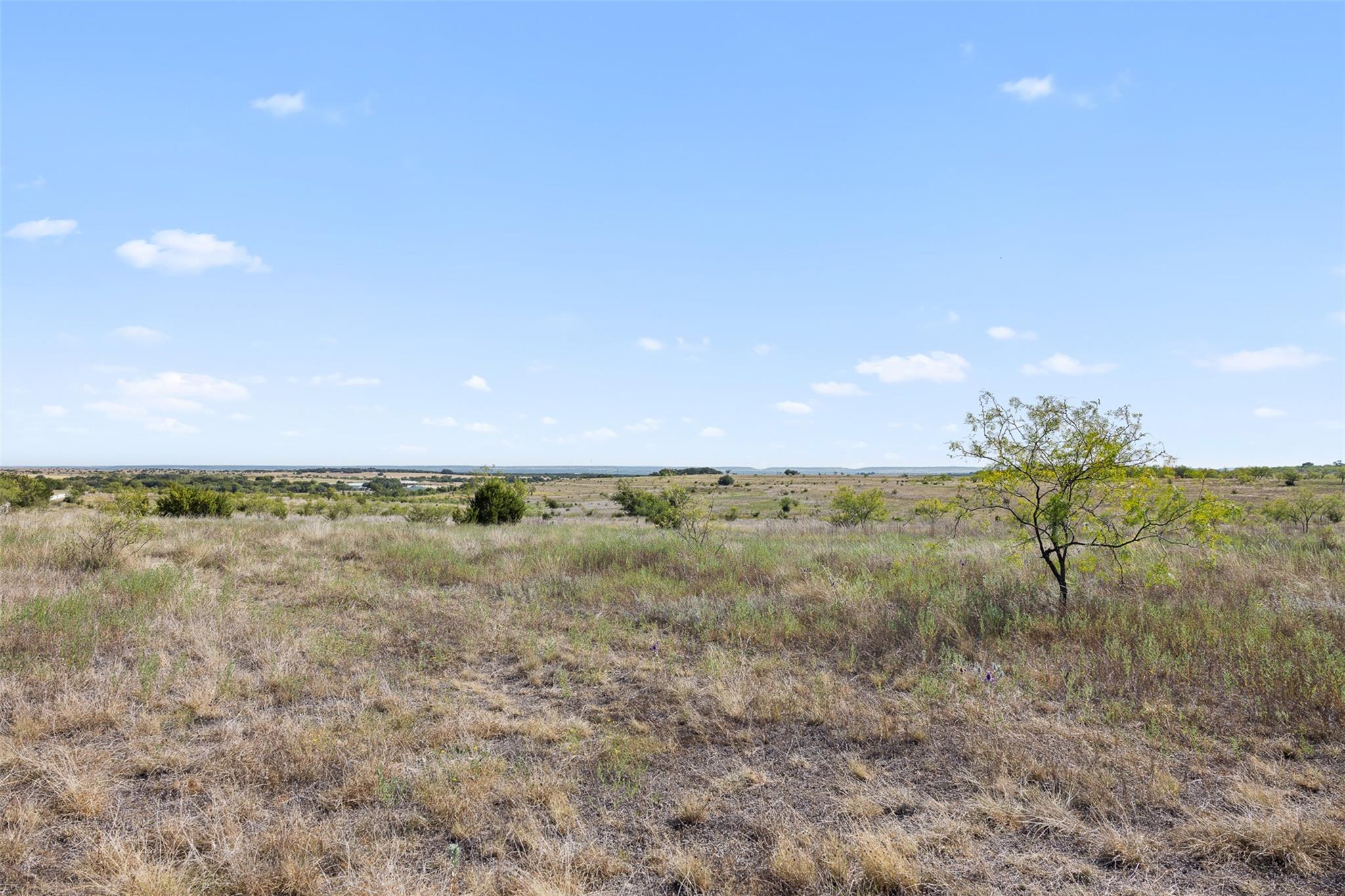 Rural lot with dry grass, scattered shrubs, and a lone leafy tree under a blue sky.
