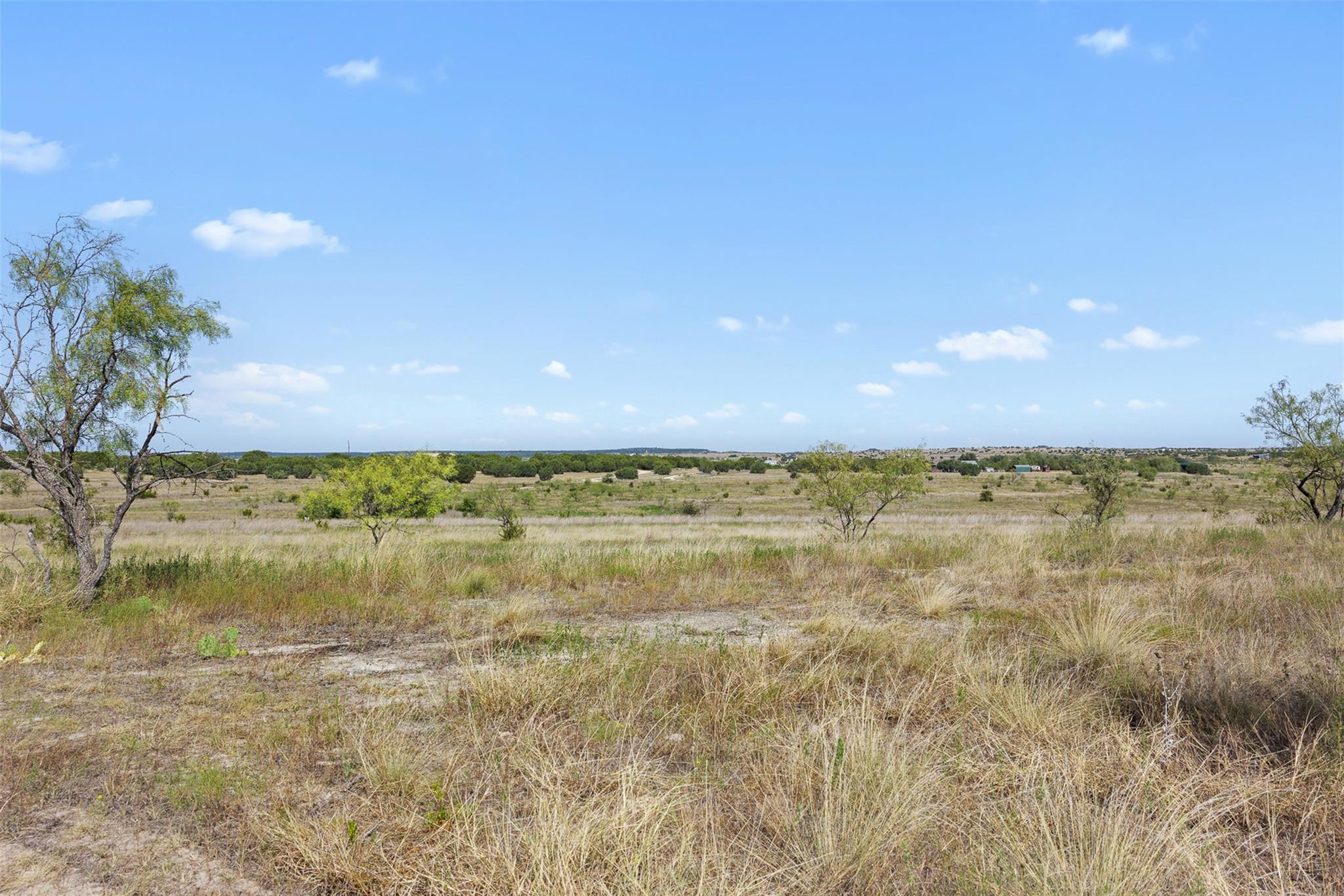 Open rural lot with dry grass and scattered trees beneath a broad blue sky.