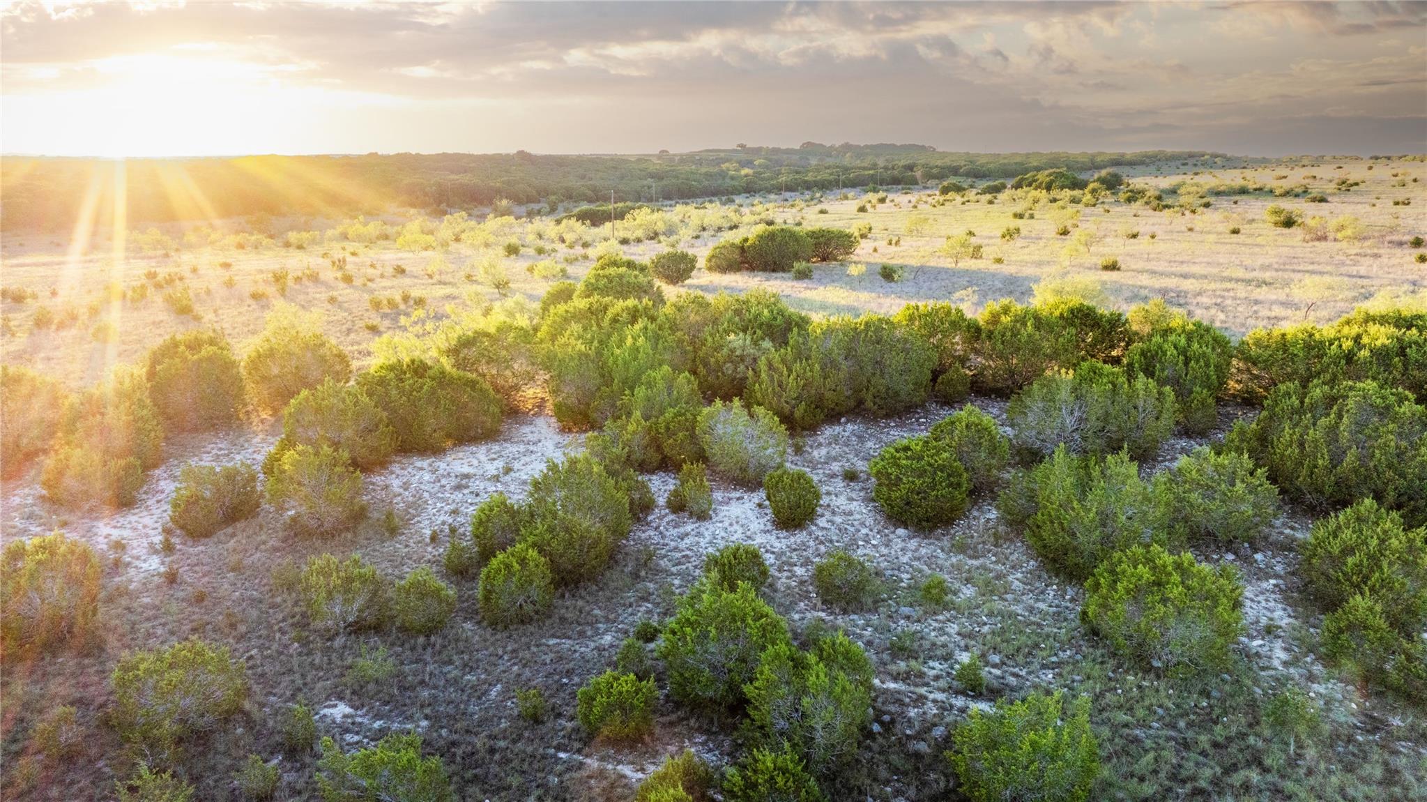 Undeveloped brushland with rocky soil and scattered shrubs in golden-hour light.