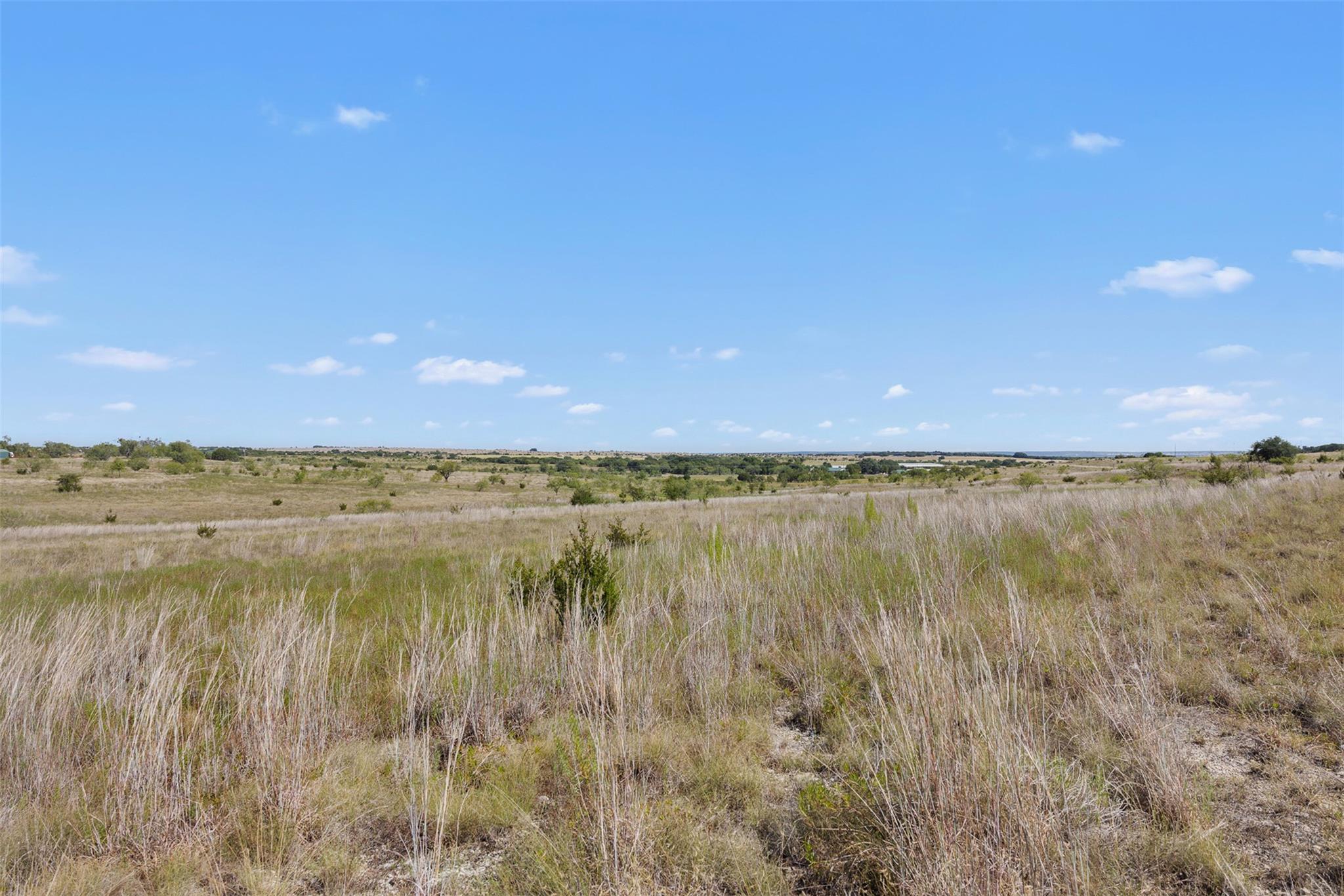 Open grassy vacant lot with scattered shrubs beneath a wide blue sky.