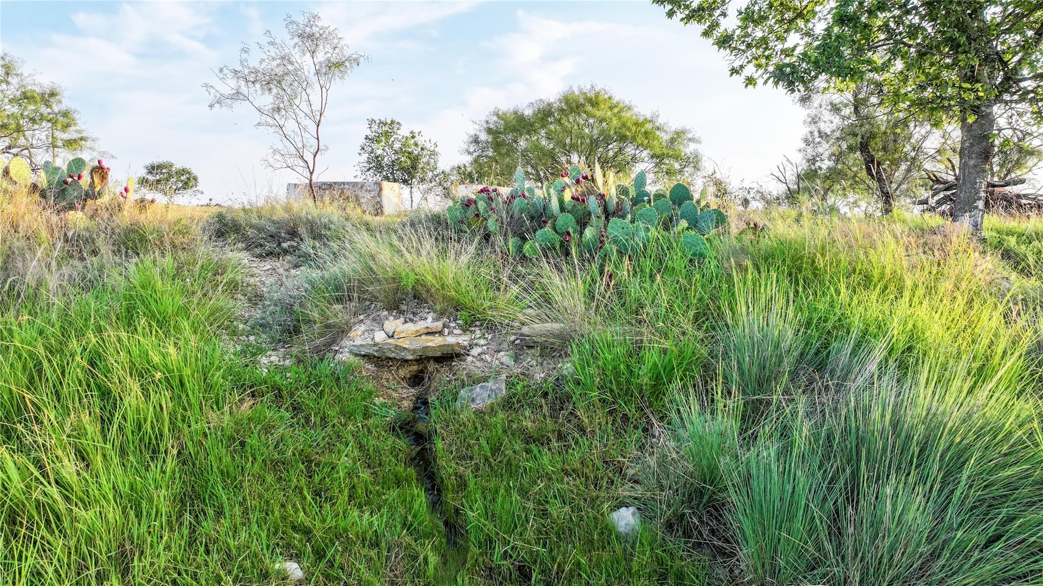 2562 County Road 2315