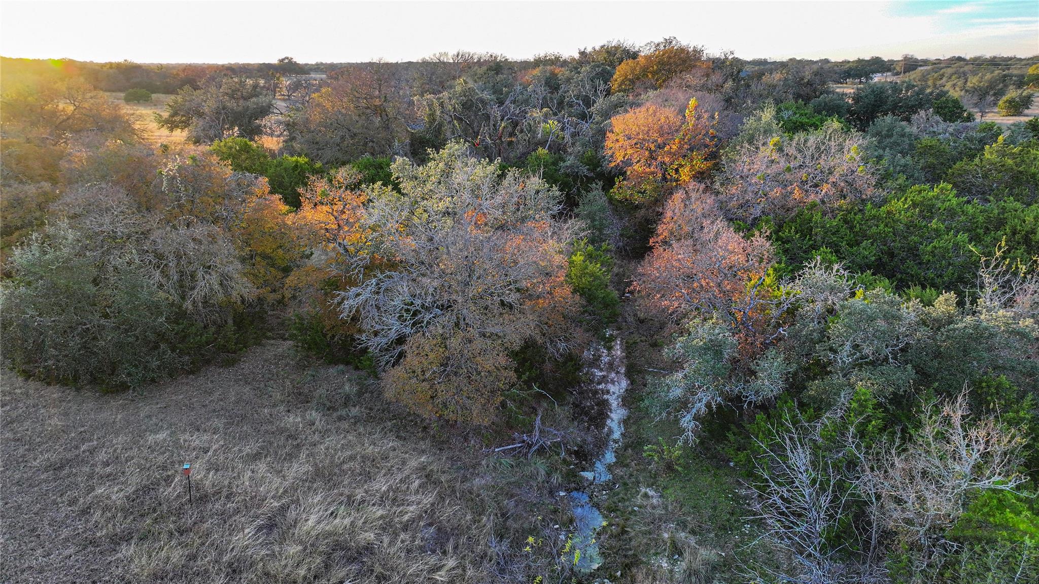 9A-3 Miller Creek BLF