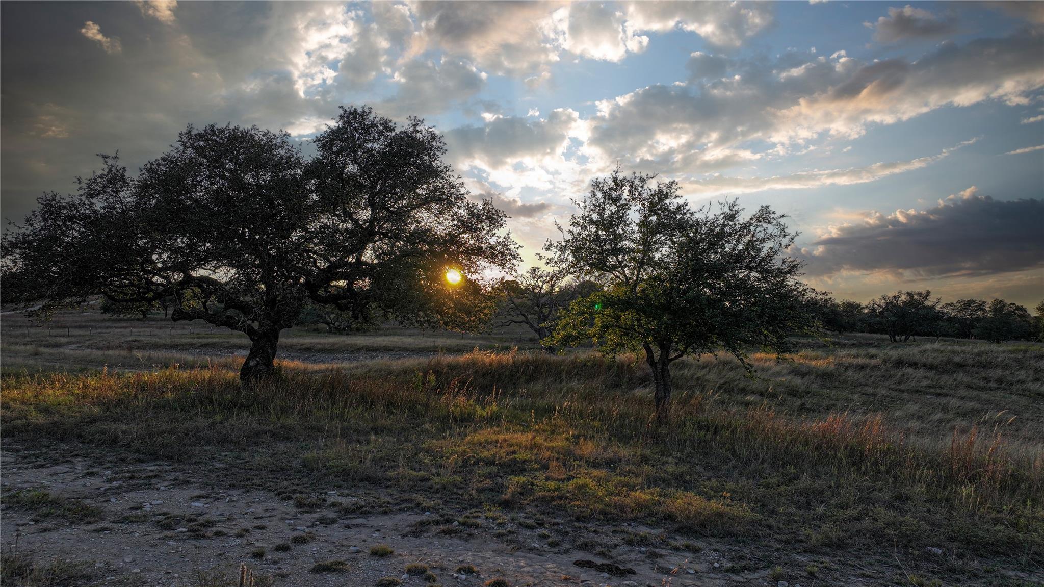 9A-3 Miller Creek BLF