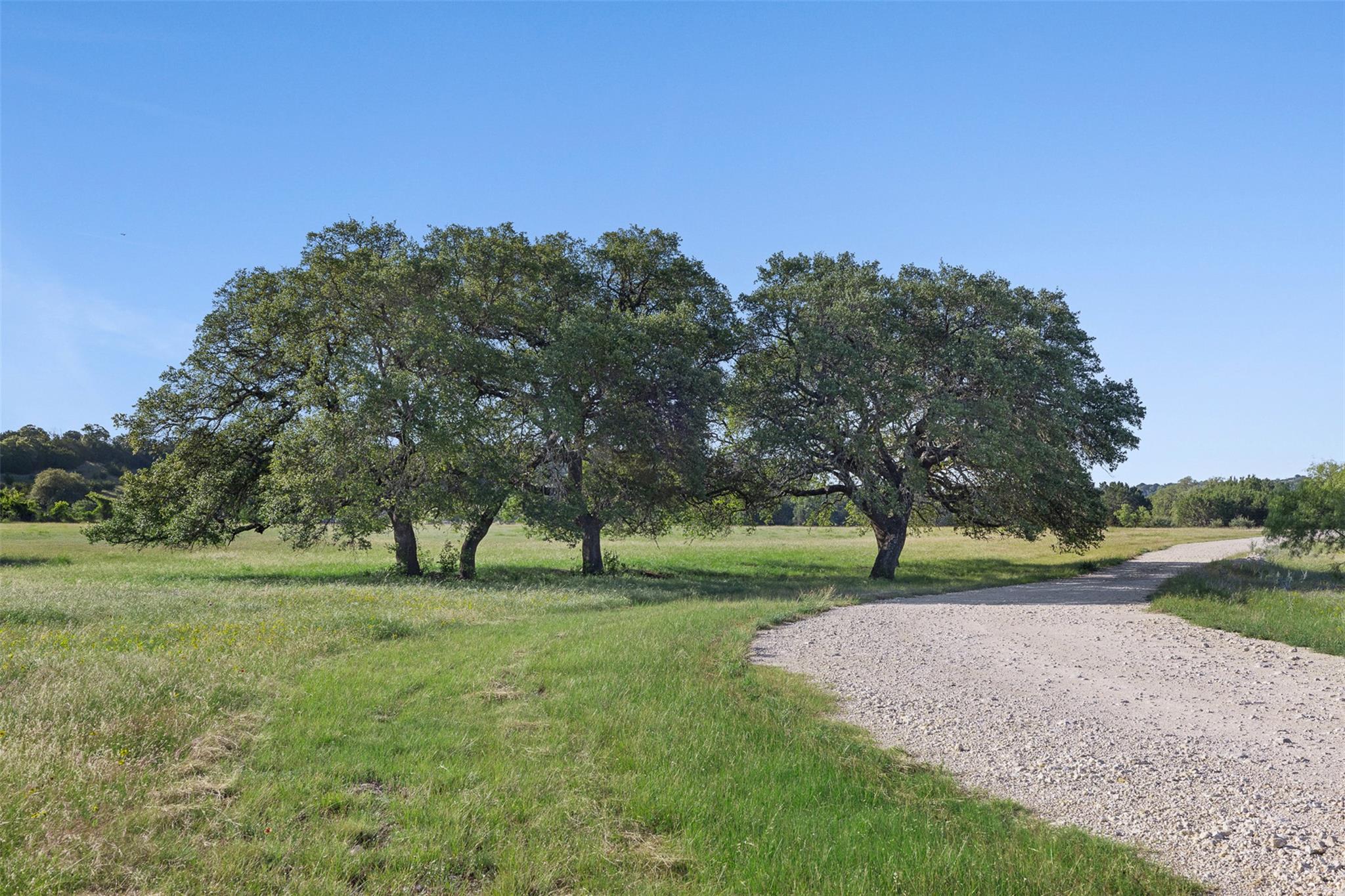 1081 County Road 1320