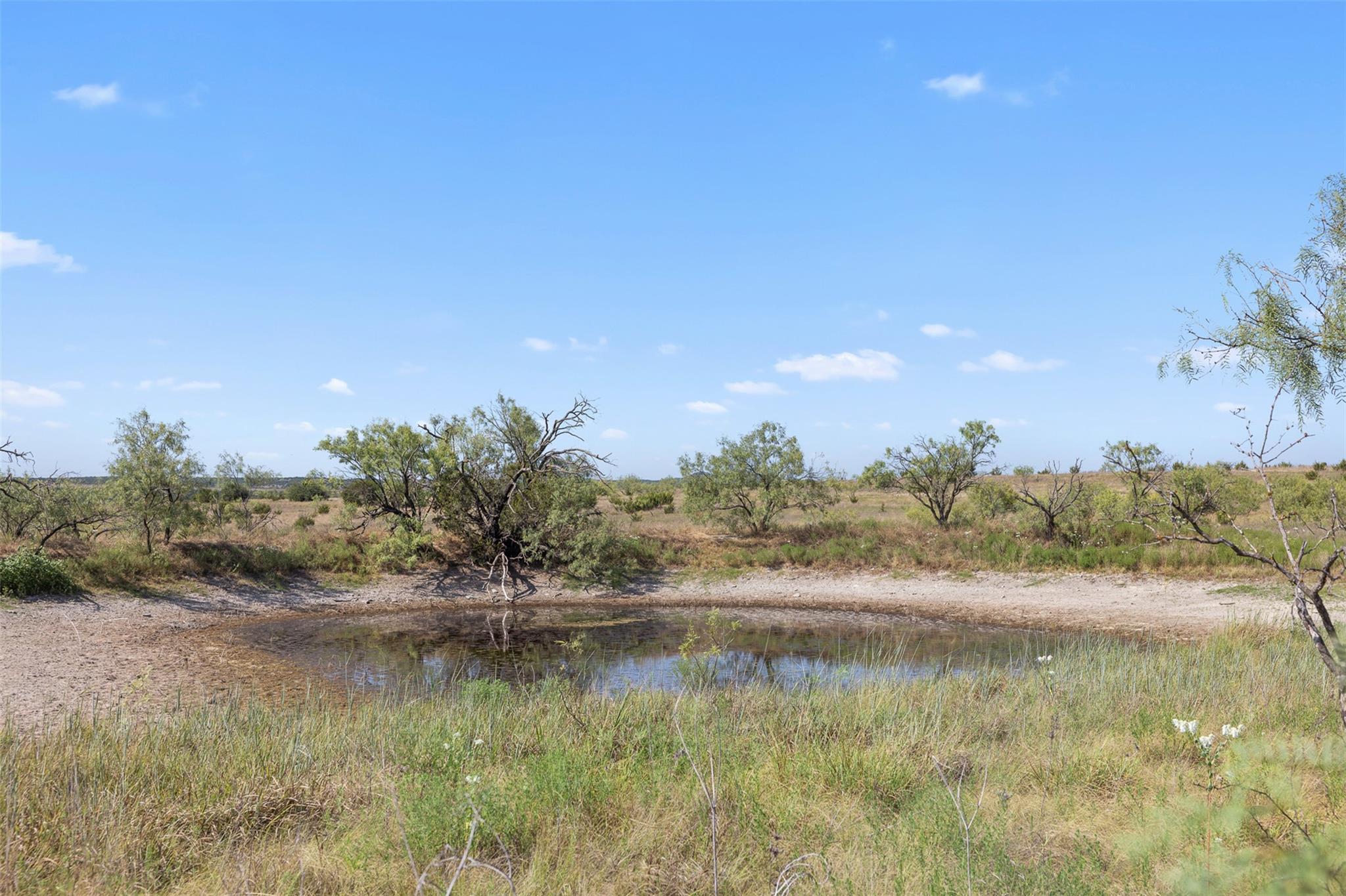 Rural vacant land with a small pond, grasses, and scattered trees.