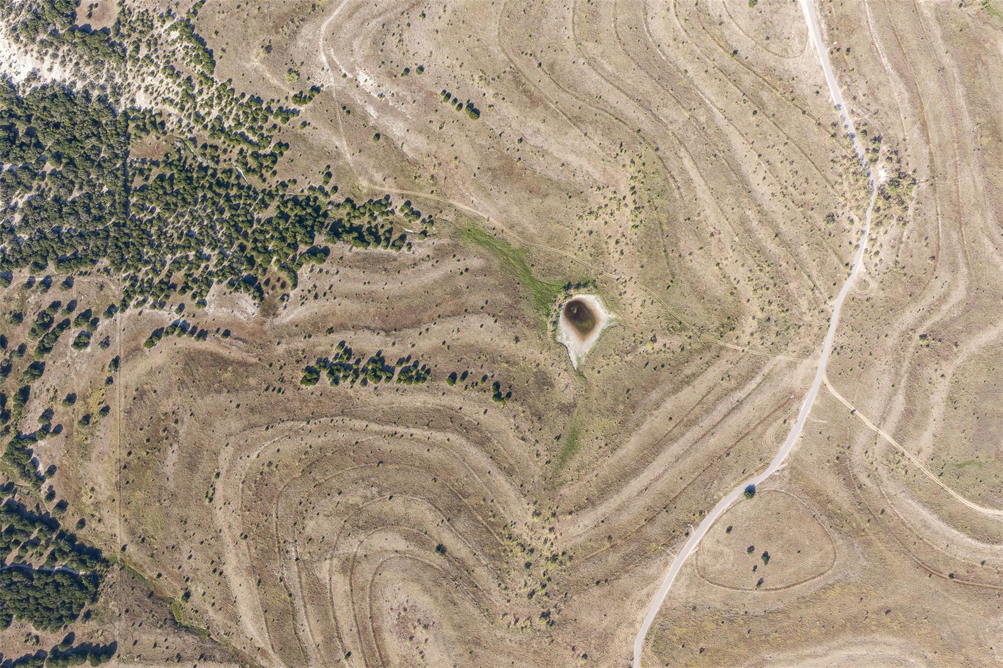 Aerial view of dry pasture with scattered trees, a small pond, and a winding road.