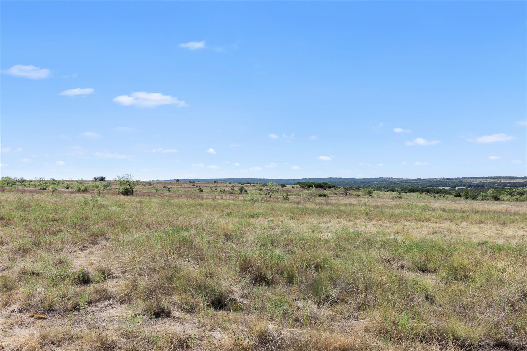 Open grassy lot with scattered shrubs and trees beneath a wide blue sky.