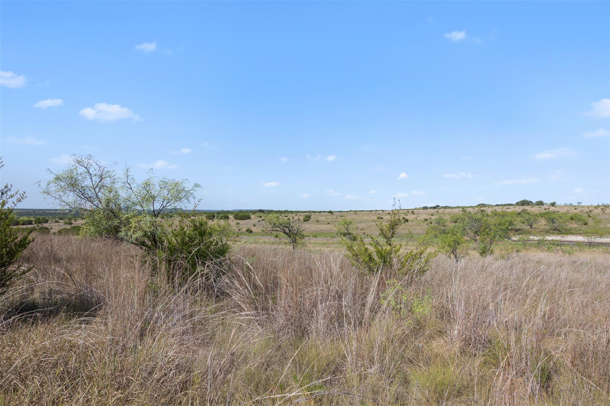 Open rural lot with tall dry grasses and scattered shrubs beneath a wide blue sky.
