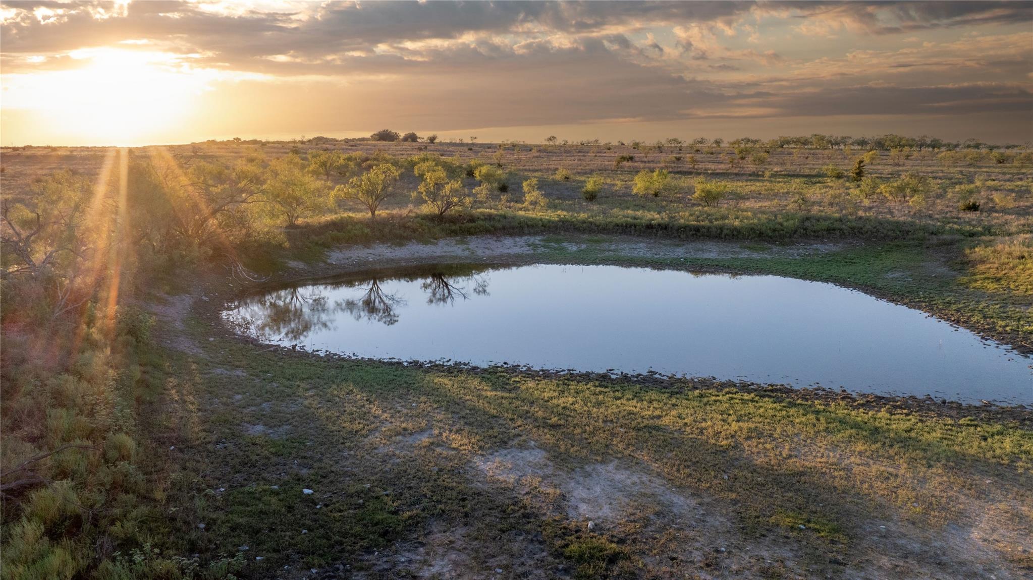 Open land with a pond and scattered trees at sunset.