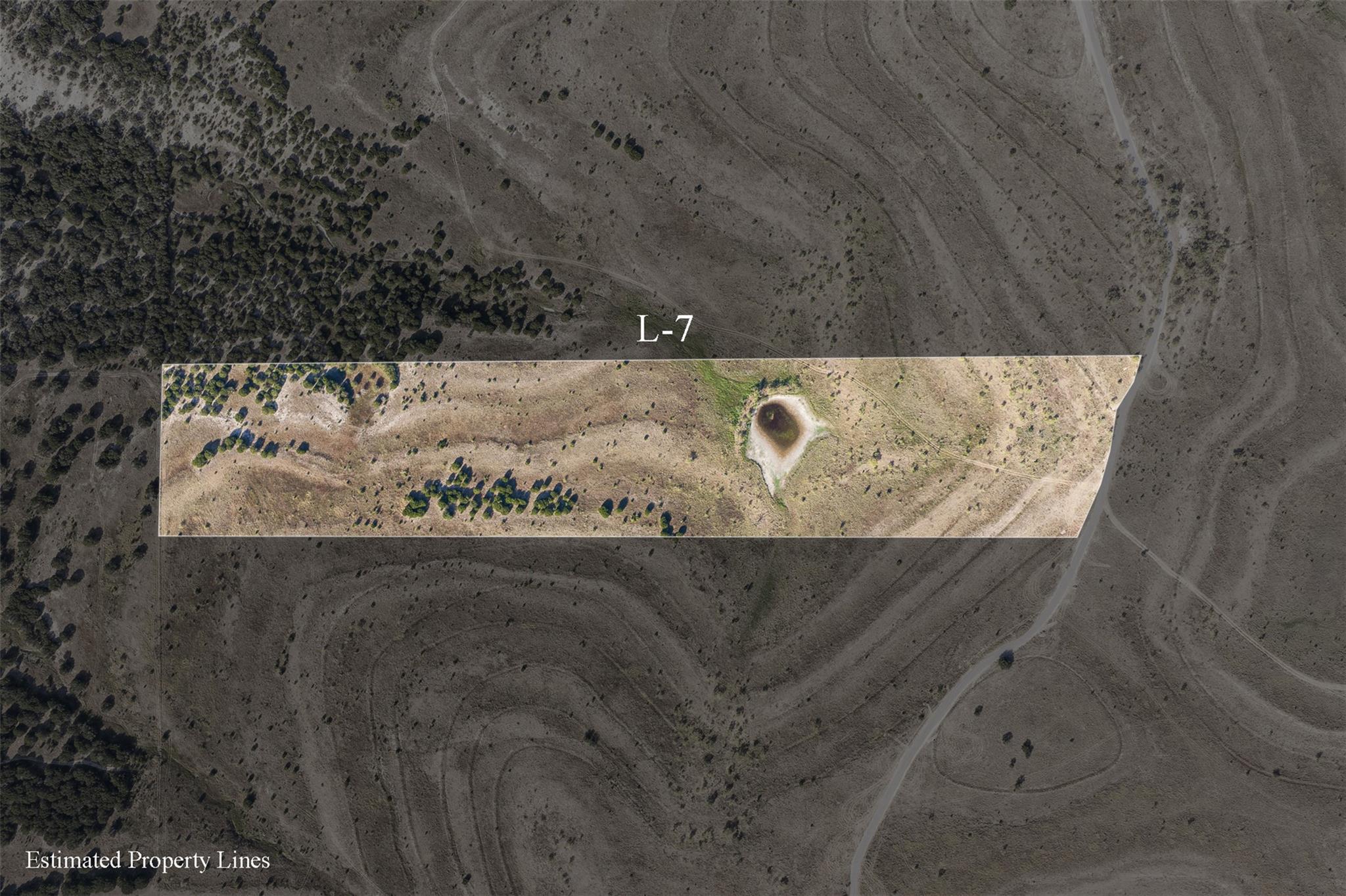 Aerial view of Lot L-7, a narrow scrubland parcel with scattered trees and a small pond.