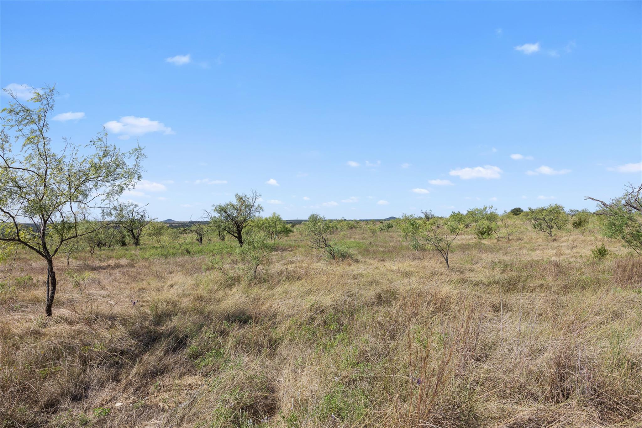 Rural vacant land with dry grass and scattered trees beneath a wide blue sky.