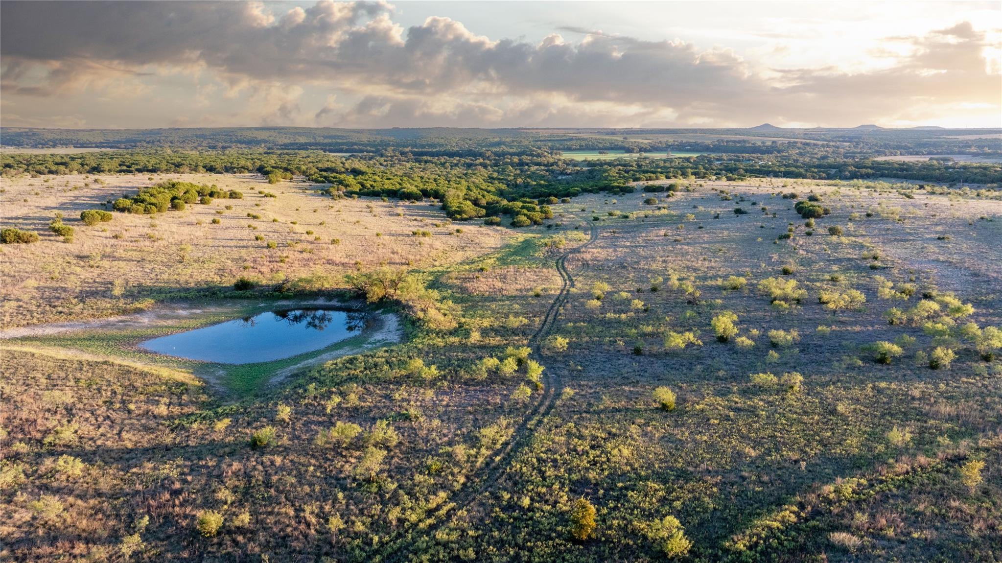 Aerial view of open scrubland with a pond, scattered trees, and a winding dirt track.
