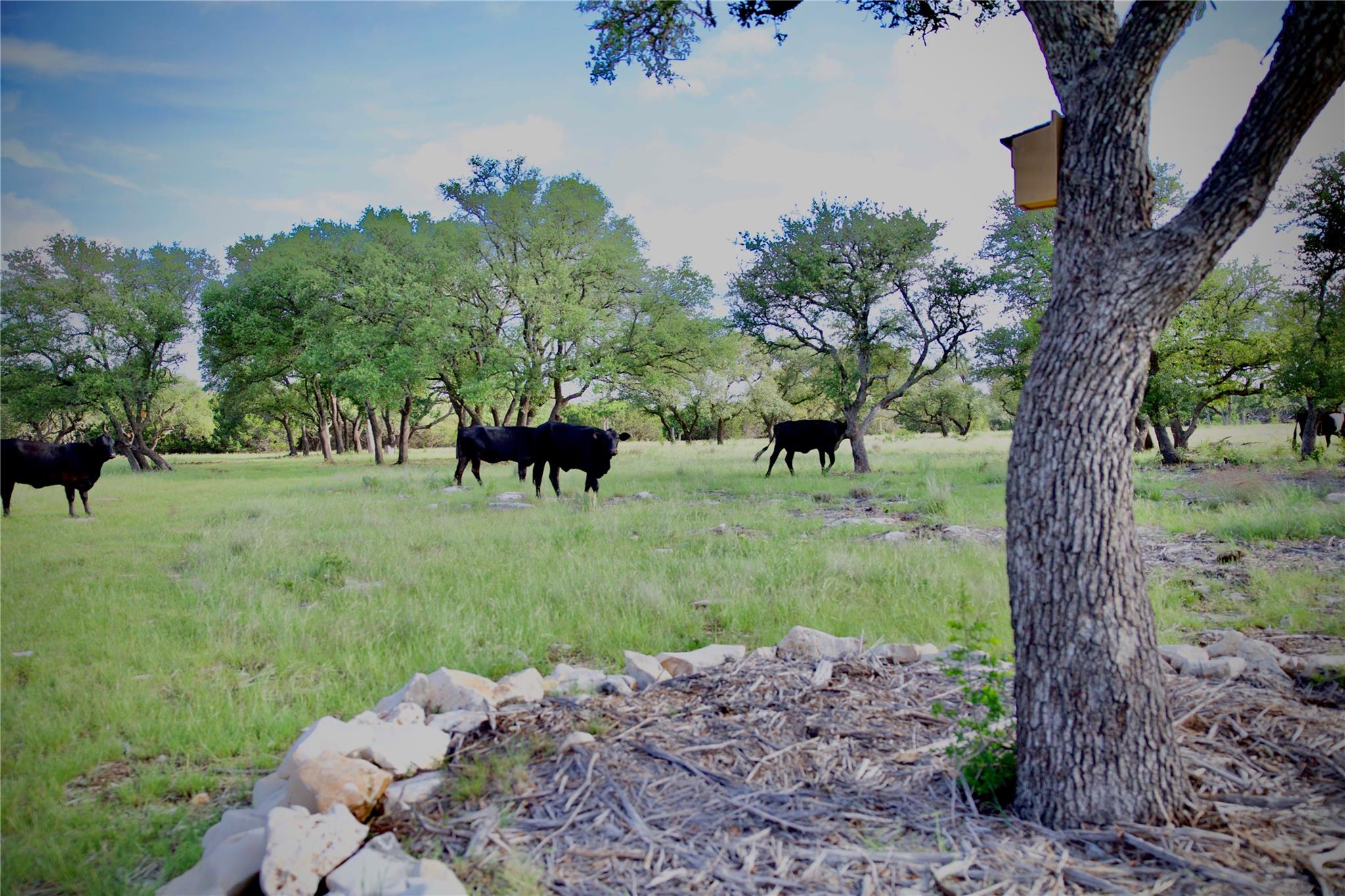 Lot 33 Starfall DR