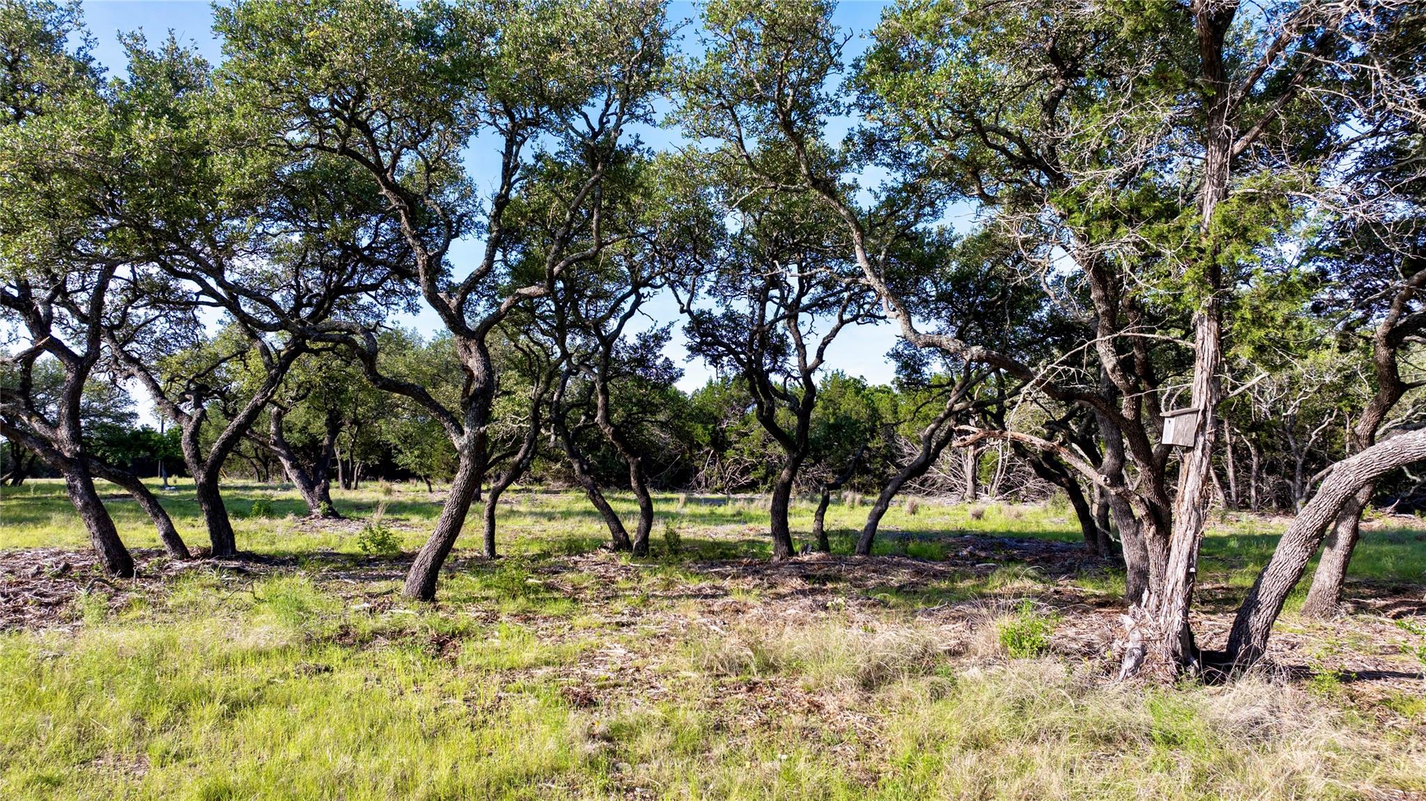 Lot 33 Starfall DR