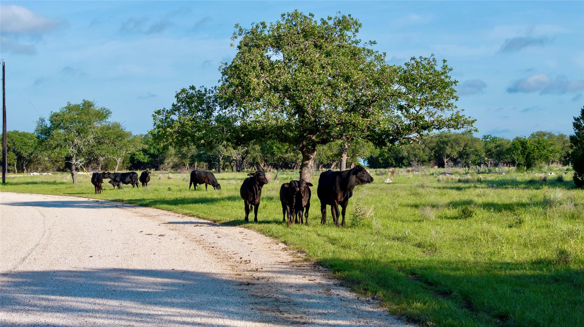 Lot 33 Starfall DR