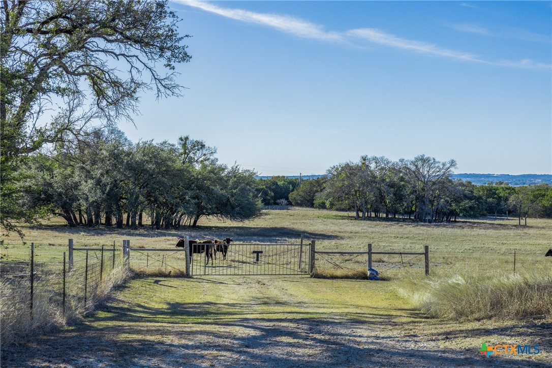 197 Live Oak Cemetery Road