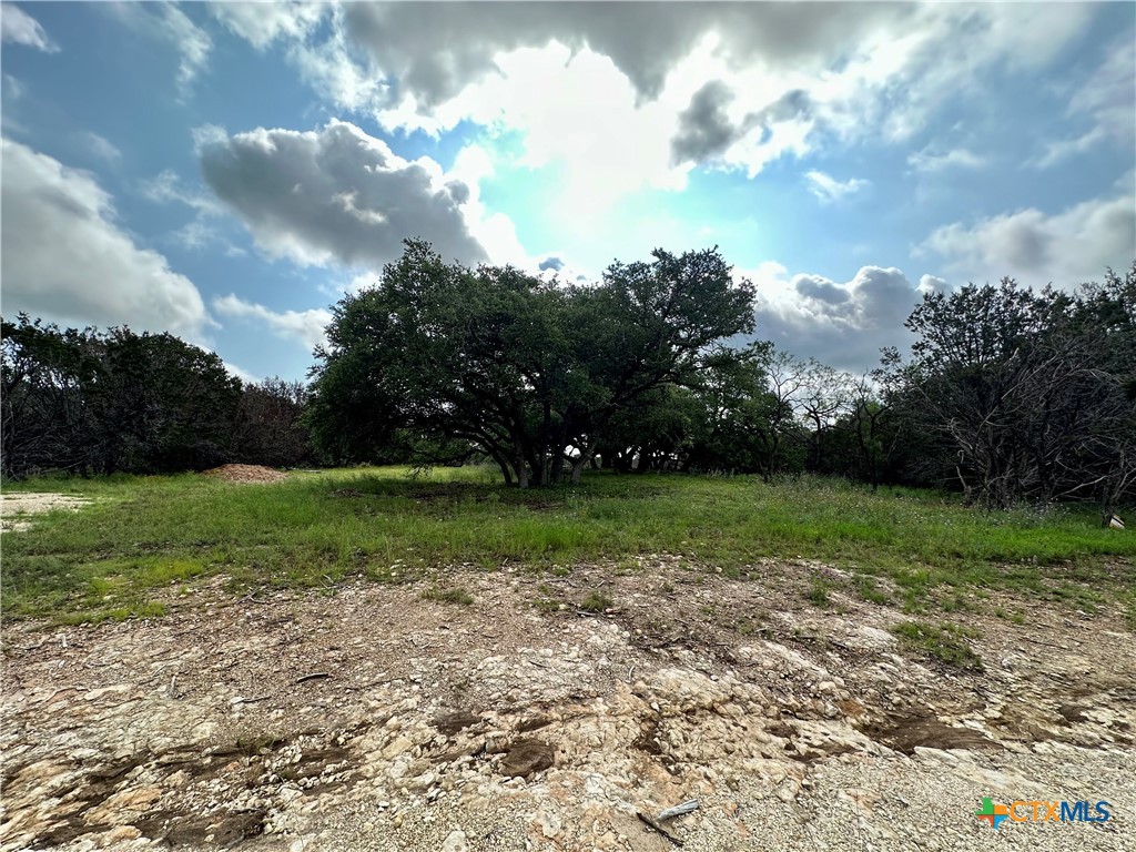 285 Donnie Drive