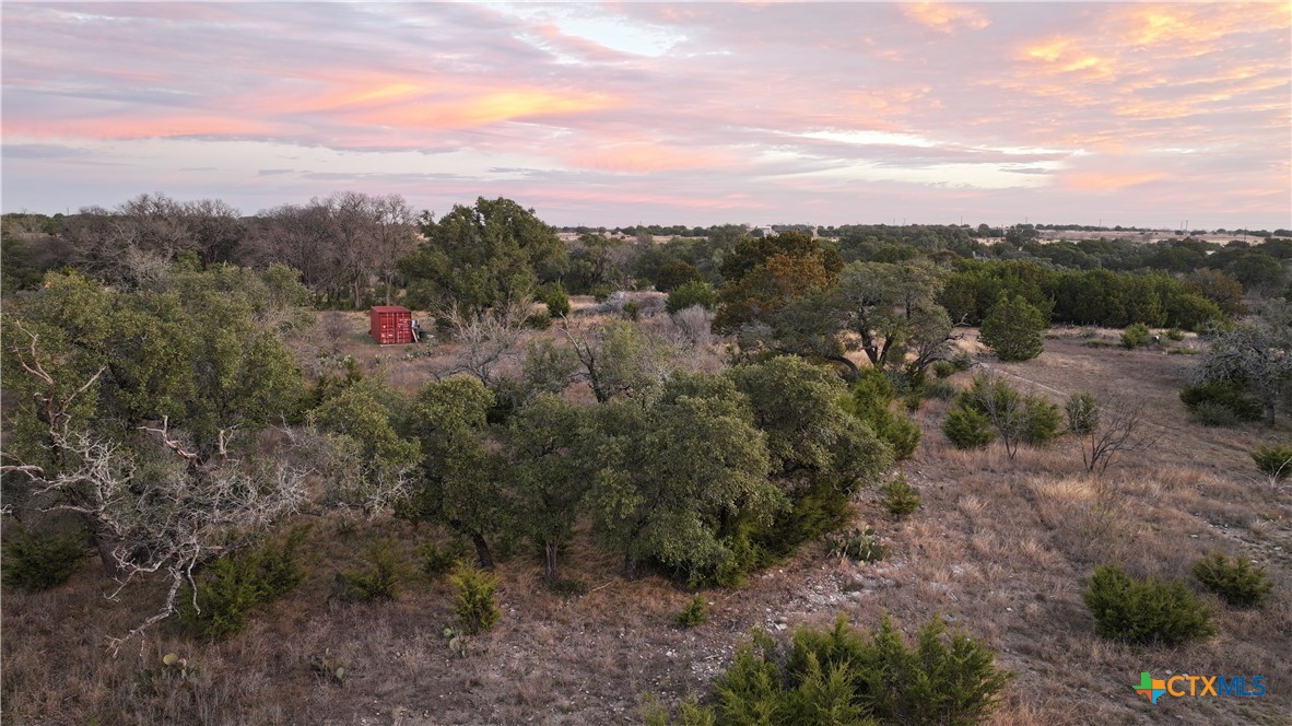 405 Heartleaf Drive