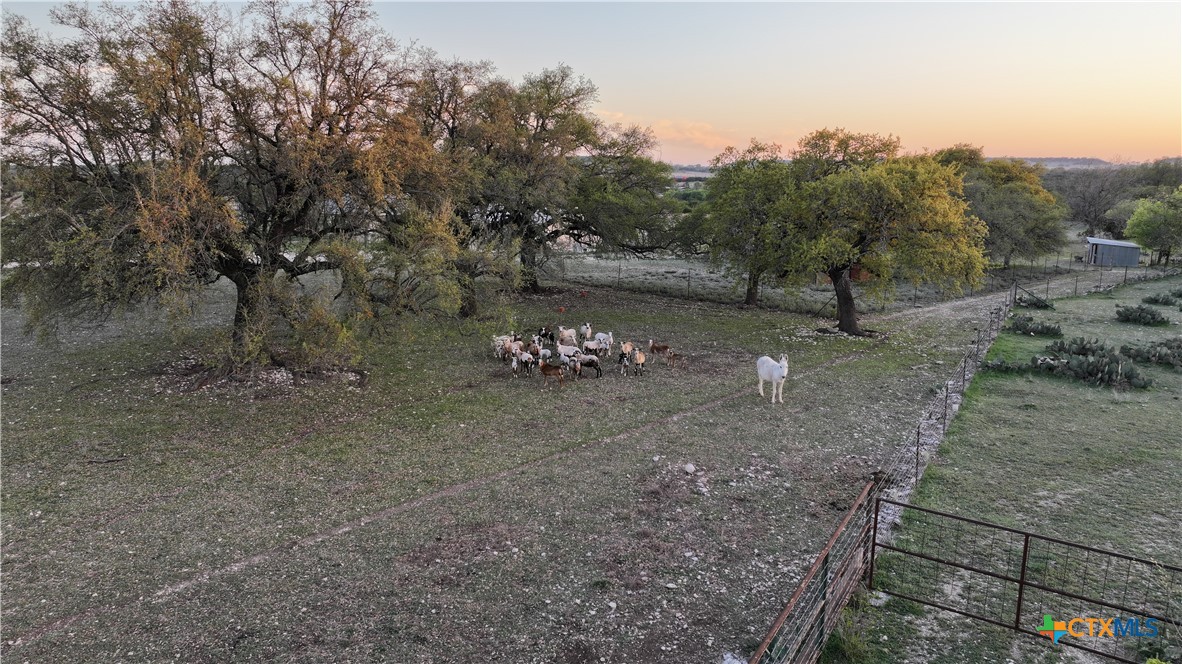656 County Road 1301