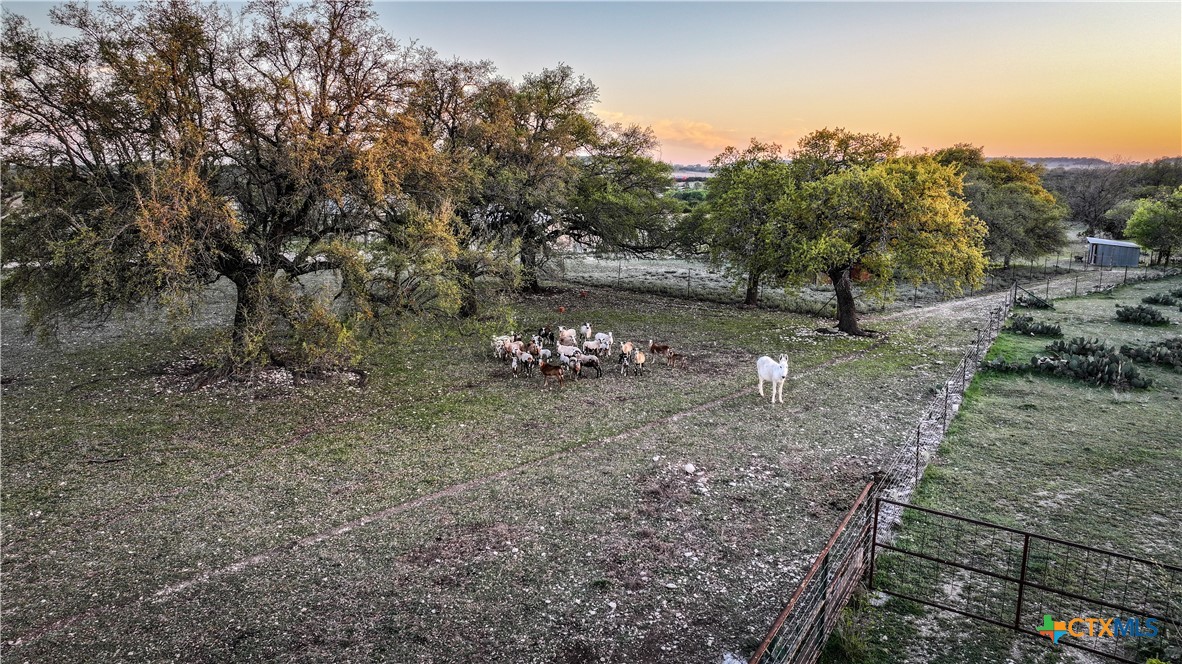 656 County Road 1301