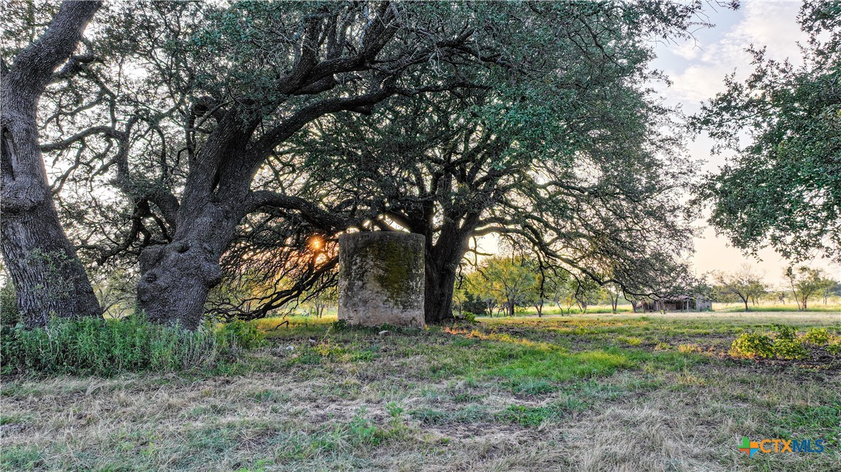 2562 County Road 2315
